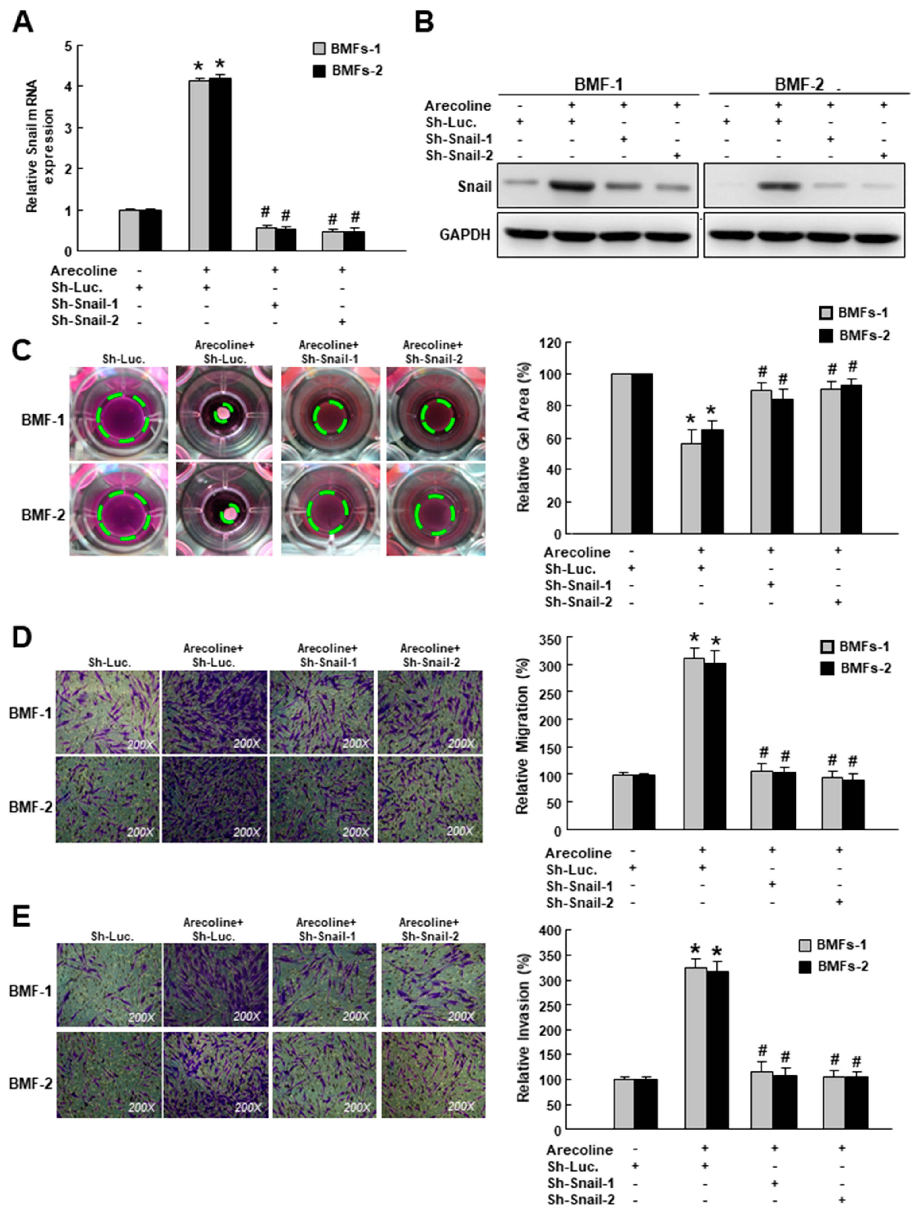 Cancers 12 01611 g002 Cancers 12 01611 g002
