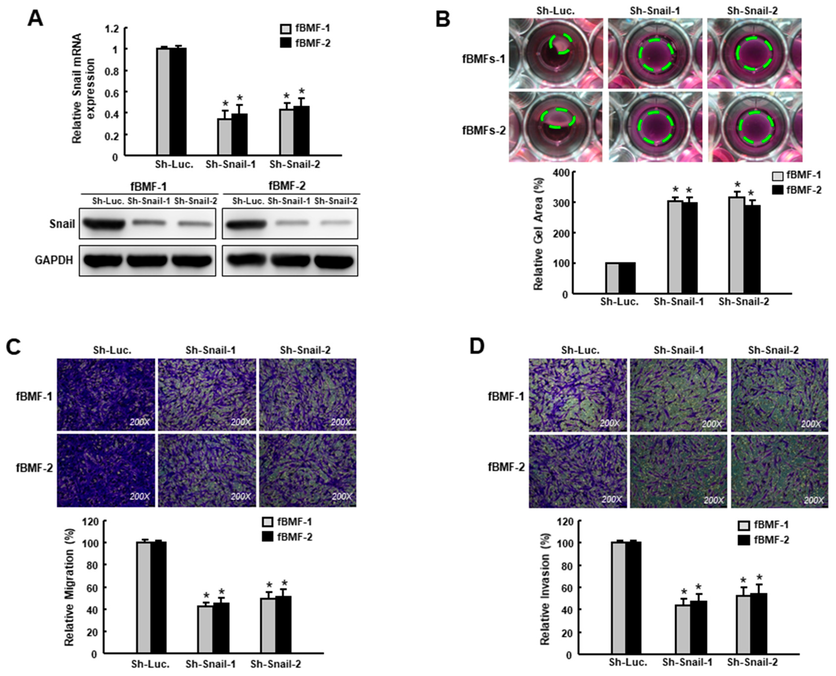 Cancers 12 01611 g003 Cancers 12 01611 g003