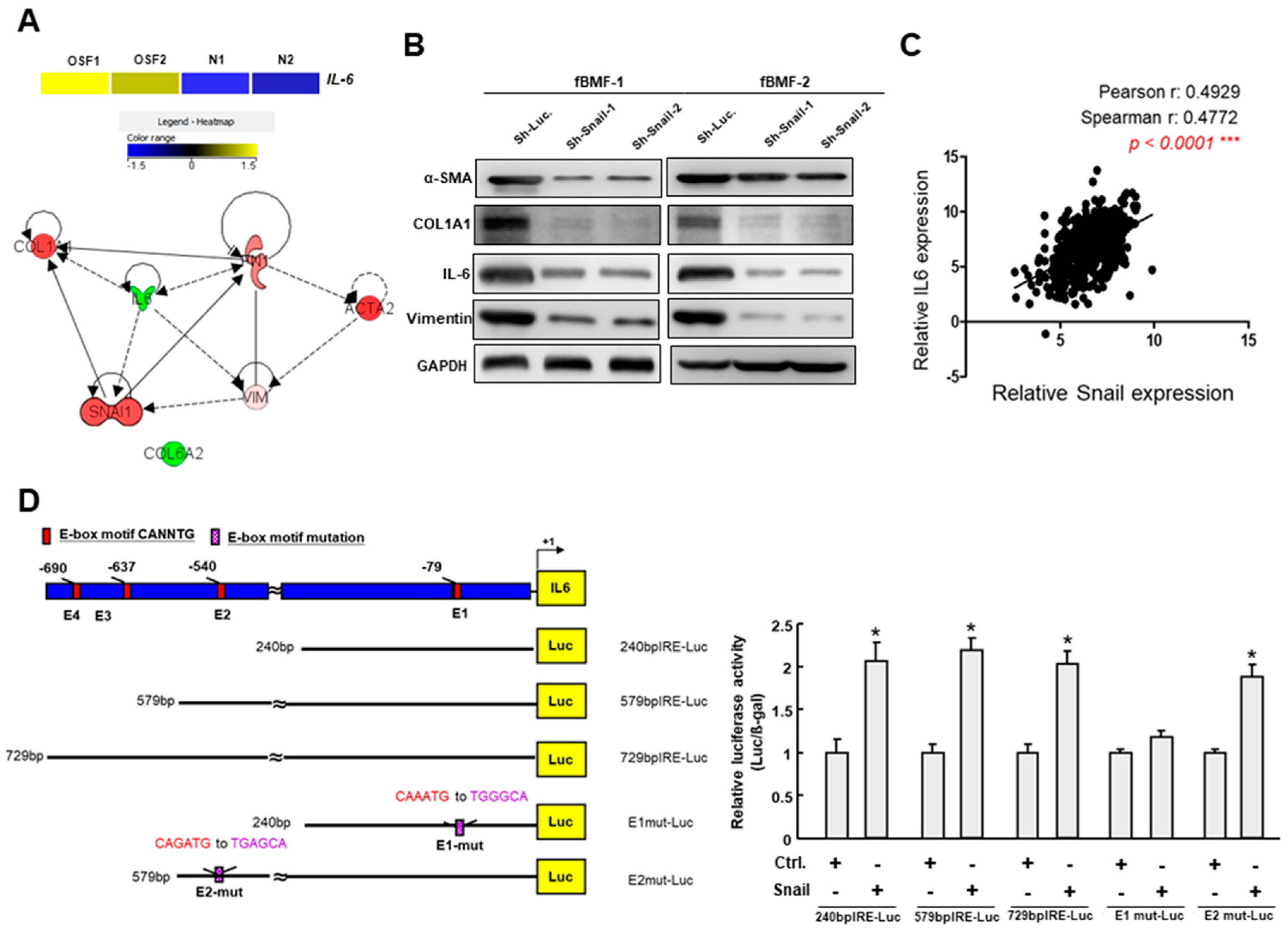 Cancers 12 01611 g005 Cancers 12 01611 g005