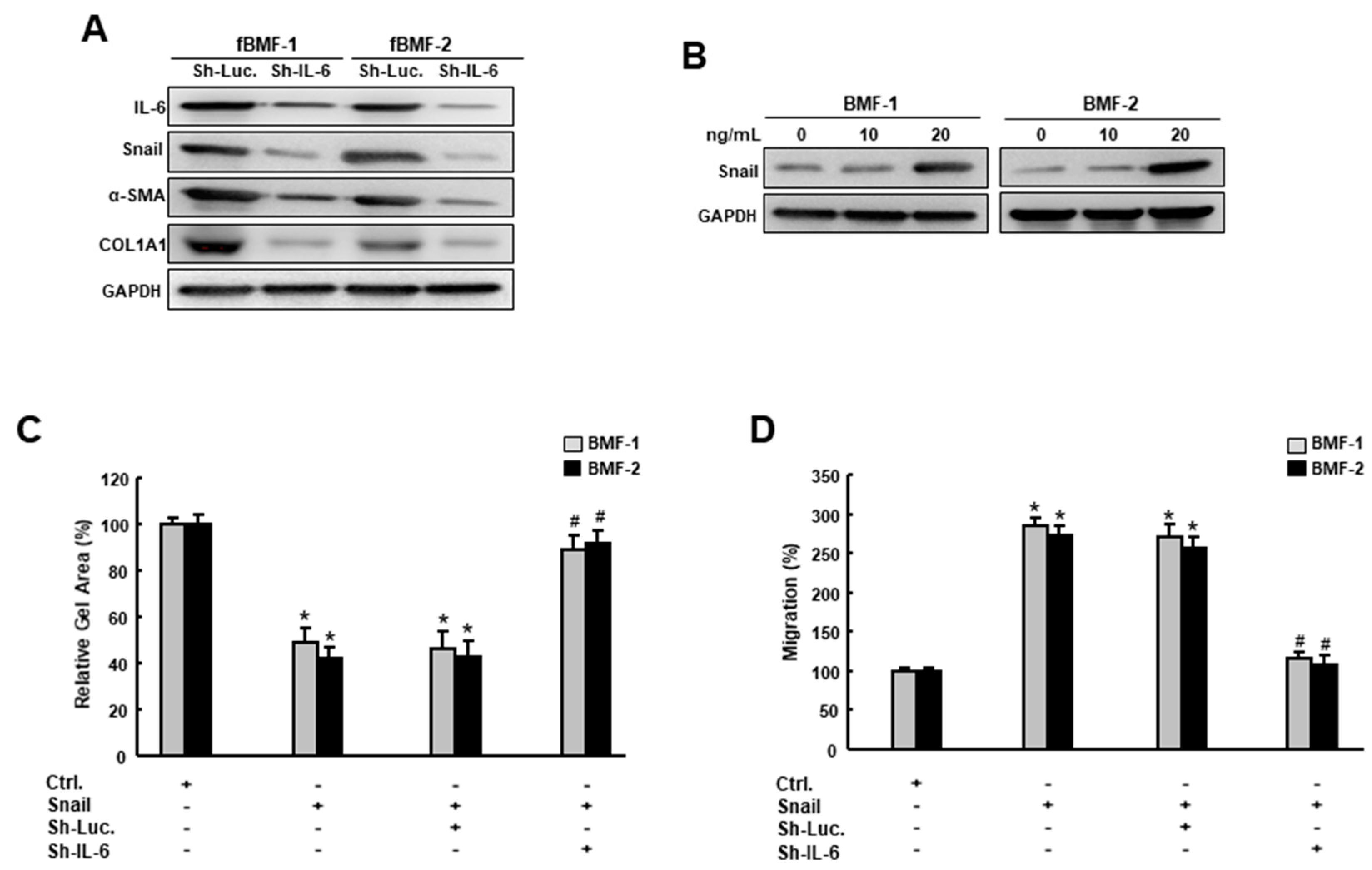 Cancers 12 01611 g006 Cancers 12 01611 g006