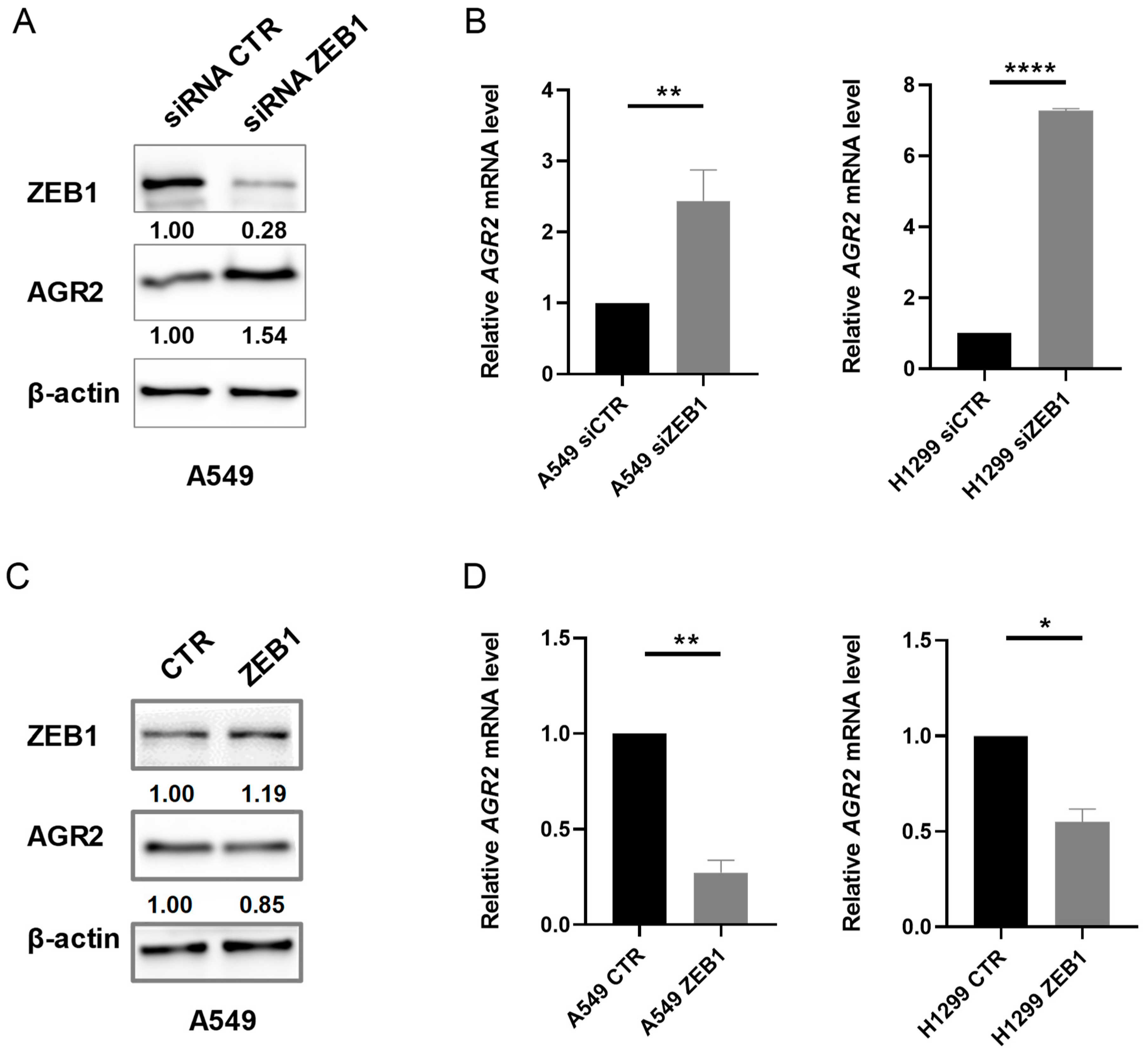 Cancers 12 01614 g002