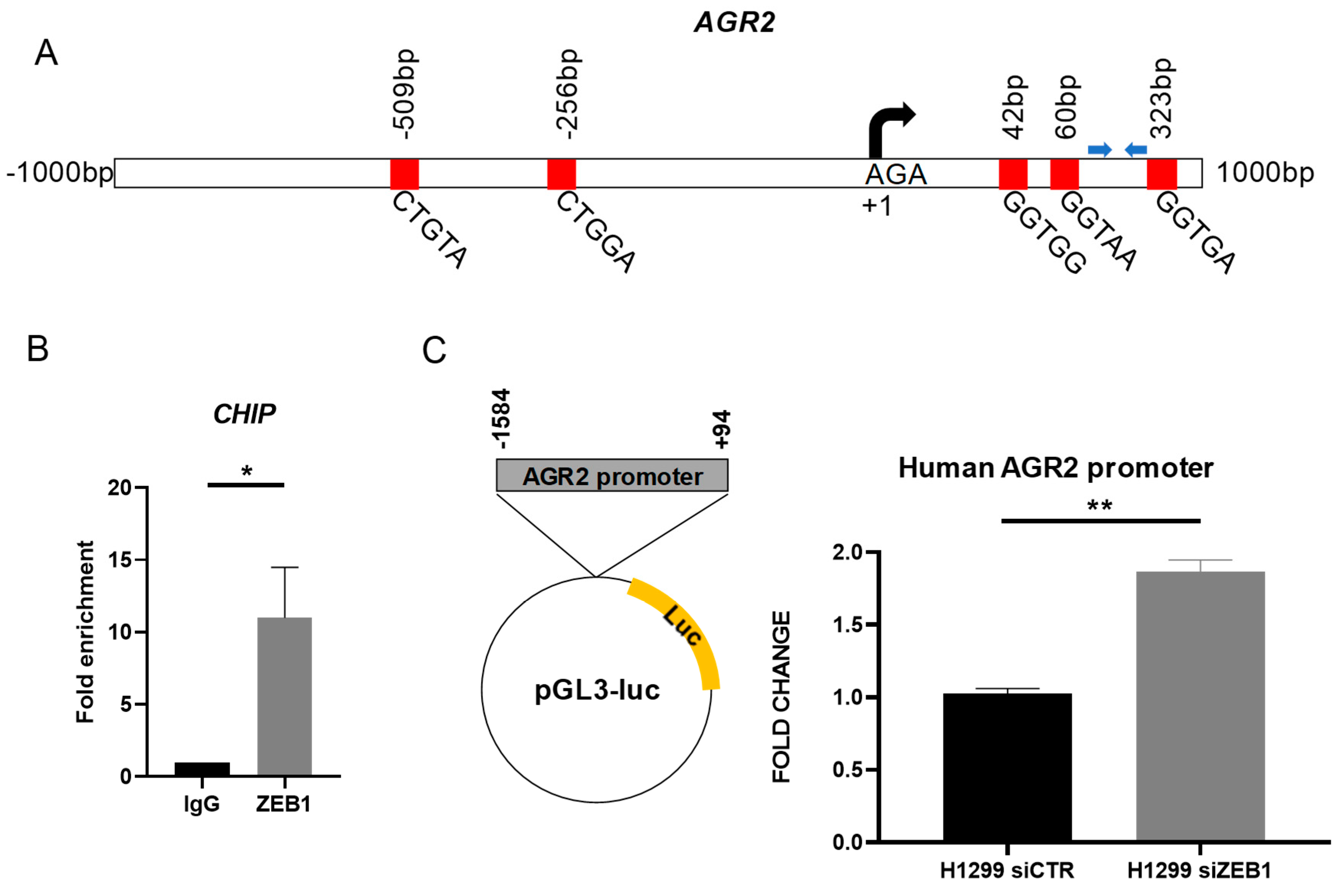 Cancers 12 01614 g003