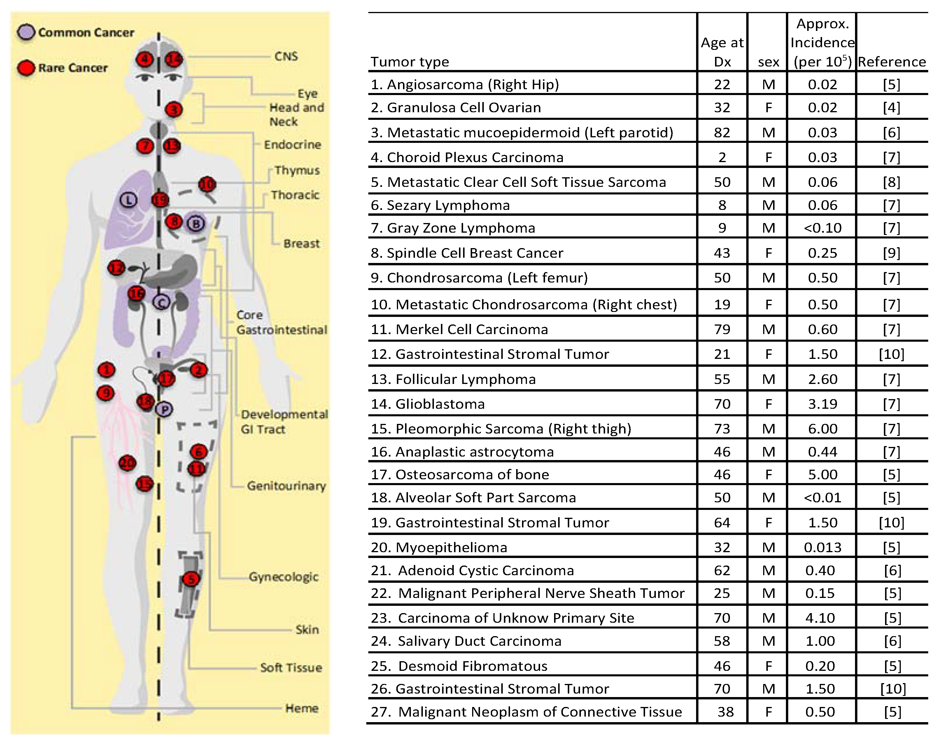 Cancers 12 01618 g001