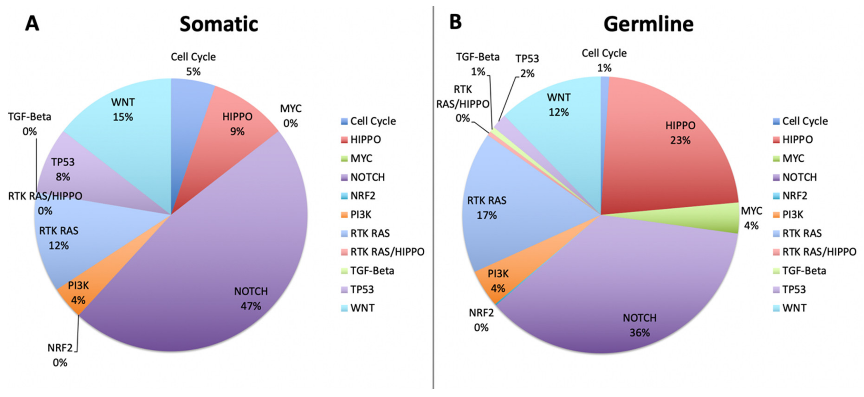 Cancers 12 01618 g006