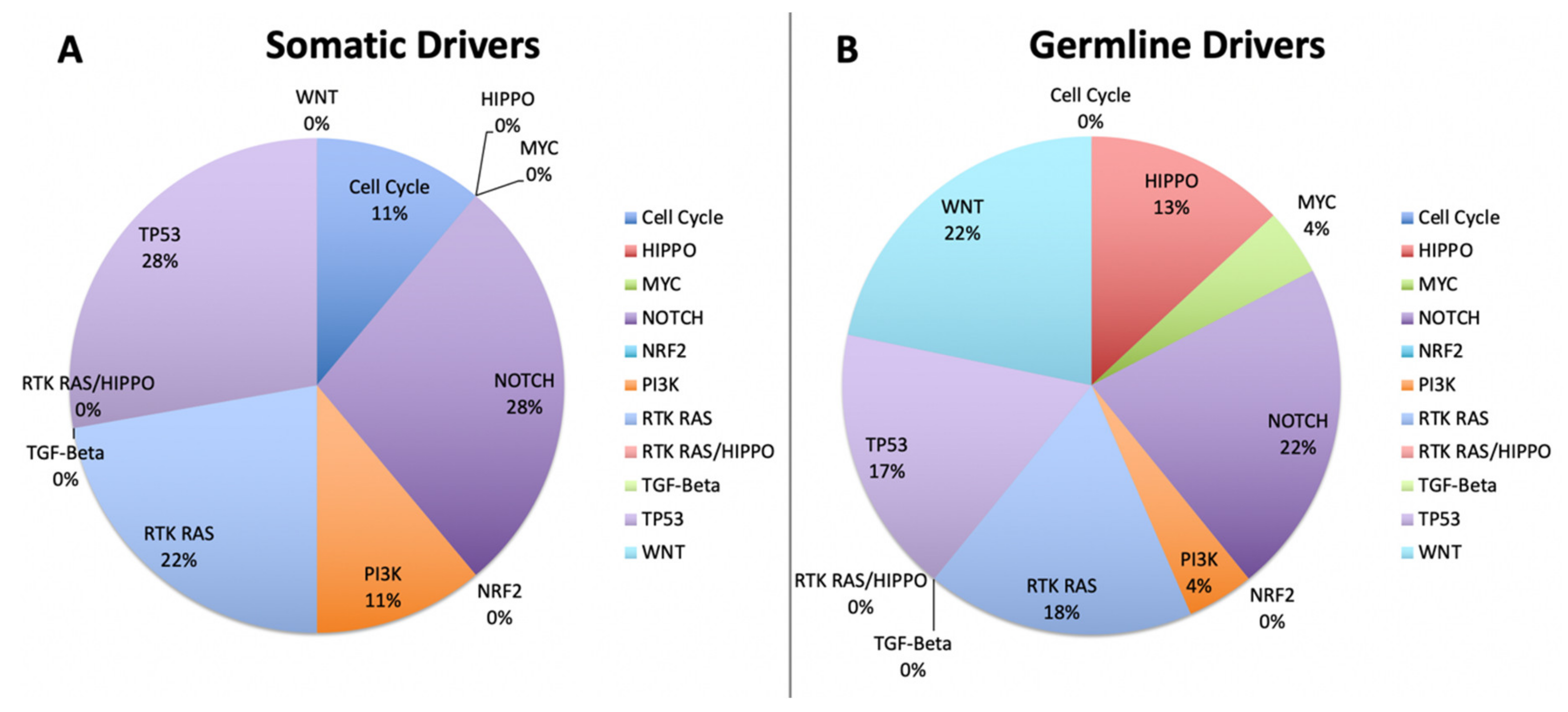 Cancers 12 01618 g007