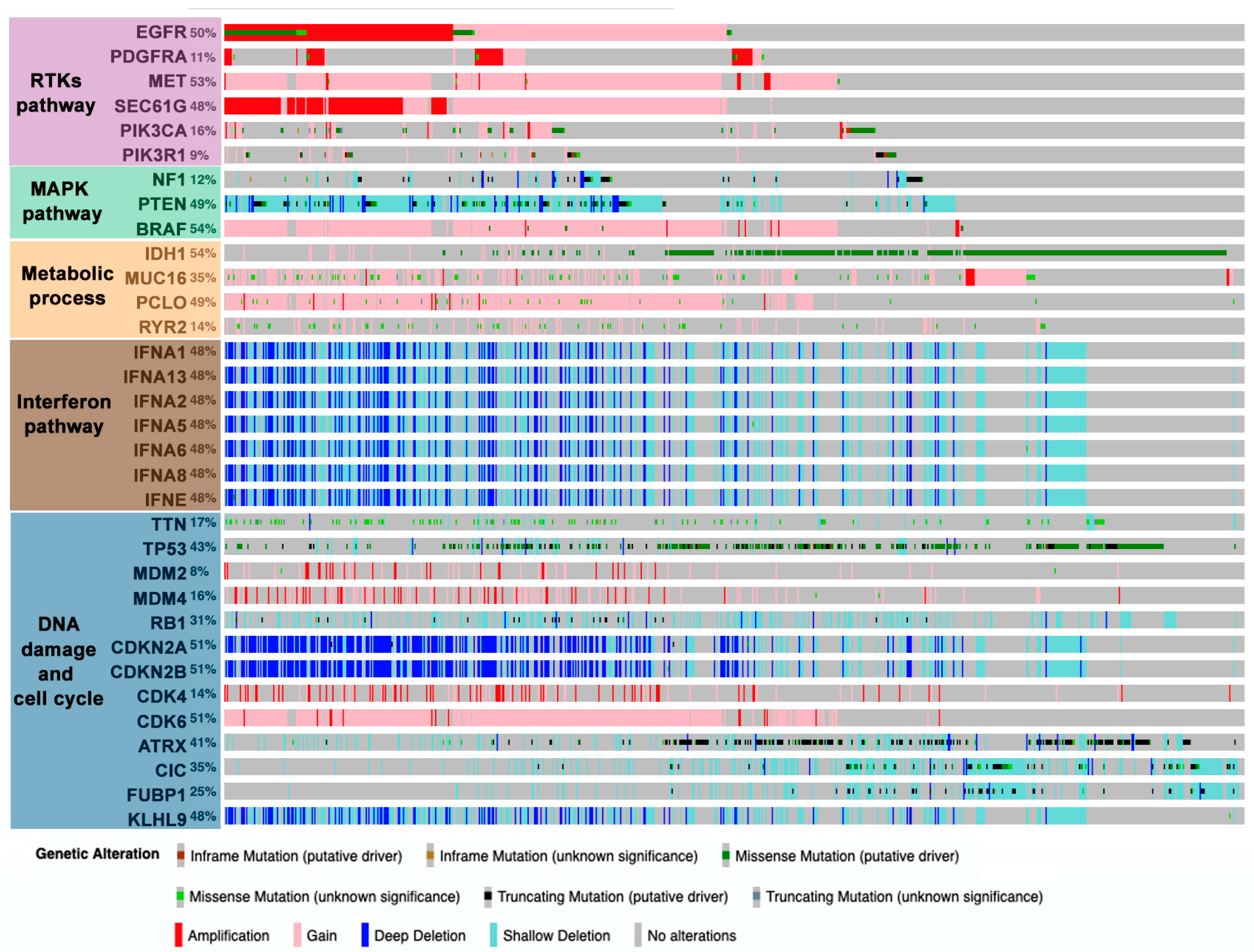 Cancers 12 01622 g001 Cancers 12 01622 g001