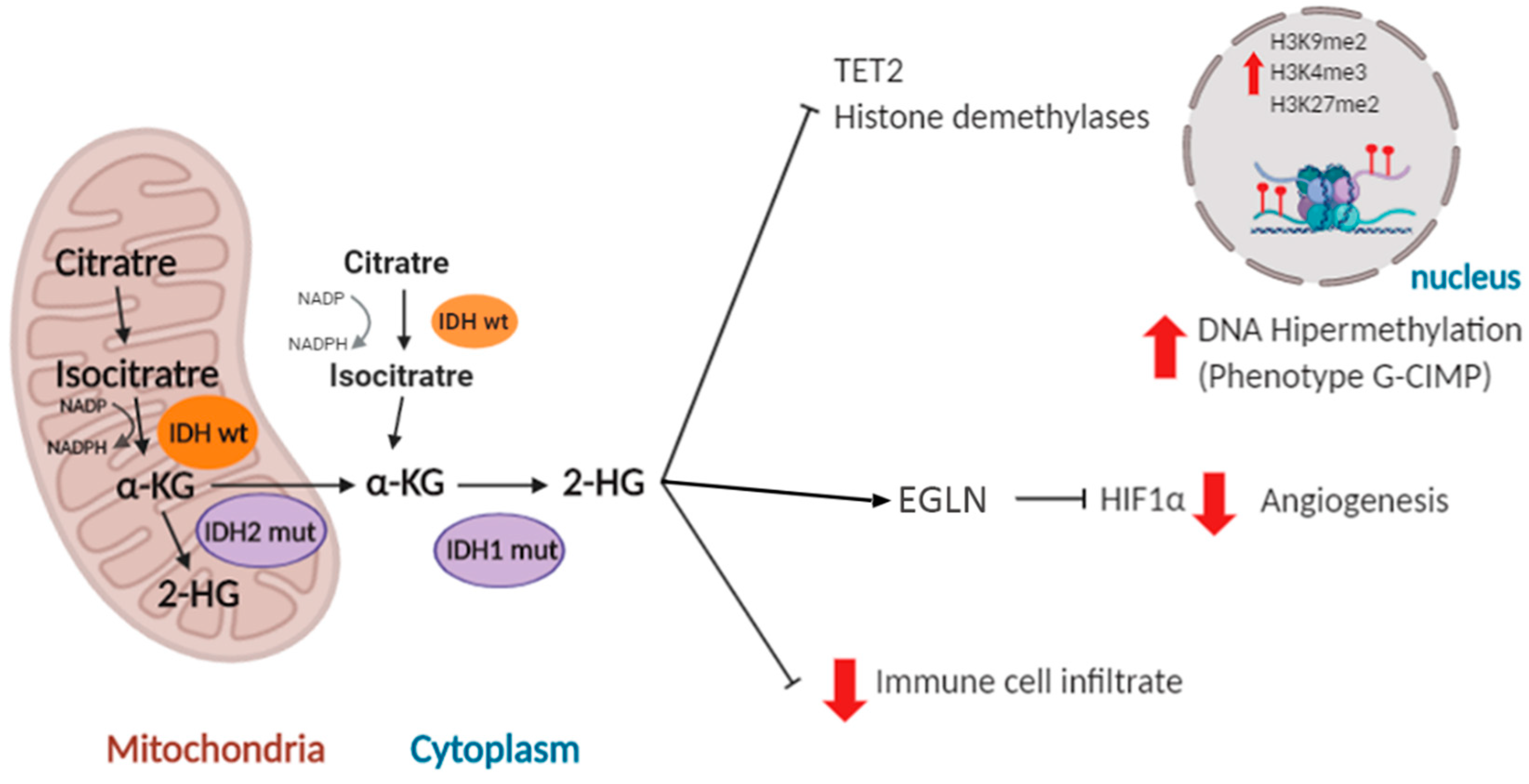 Cancers 12 01622 g002 Cancers 12 01622 g002