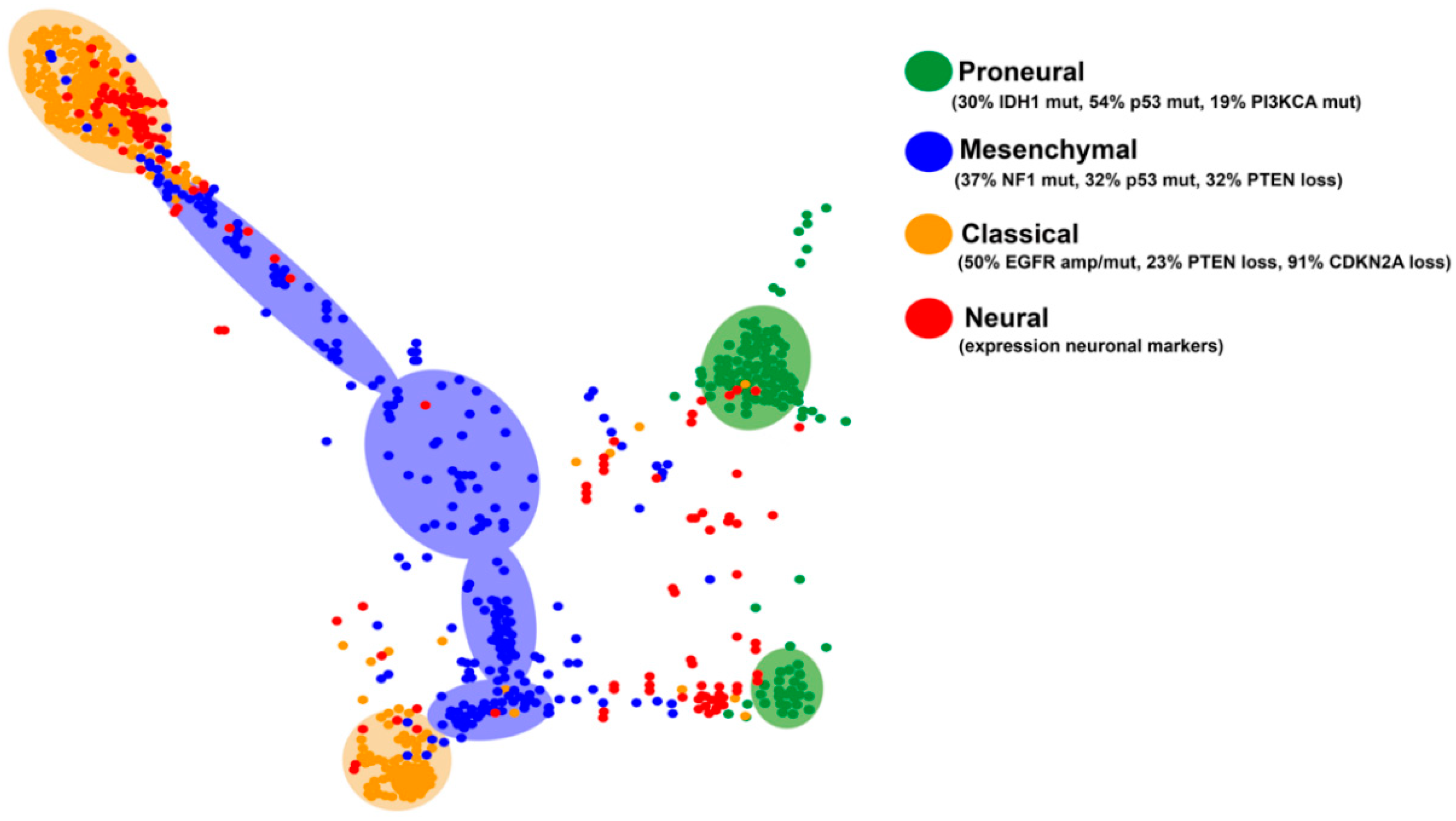 Cancers 12 01622 g003 Cancers 12 01622 g003