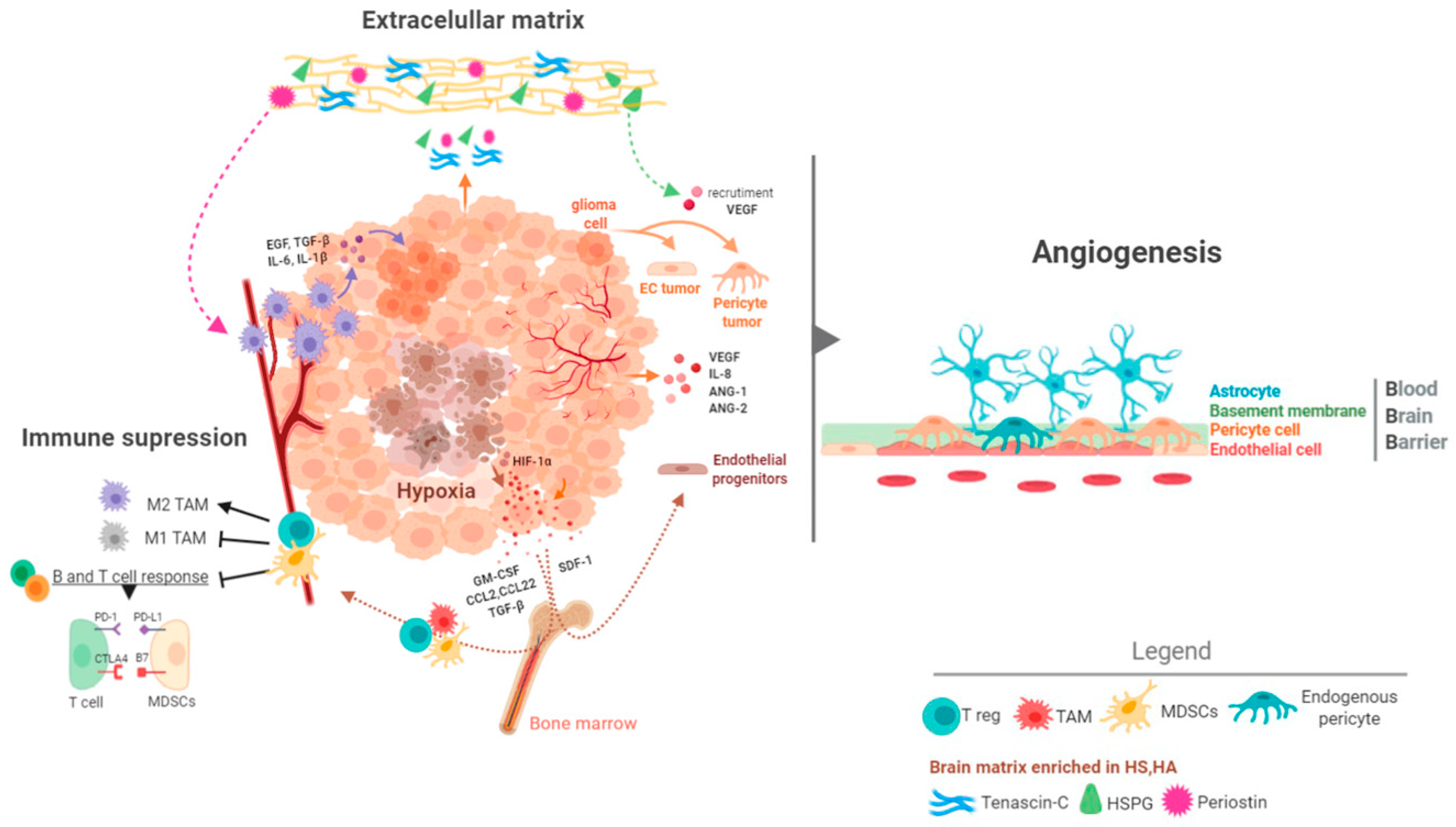 Cancers 12 01622 g004 Cancers 12 01622 g004