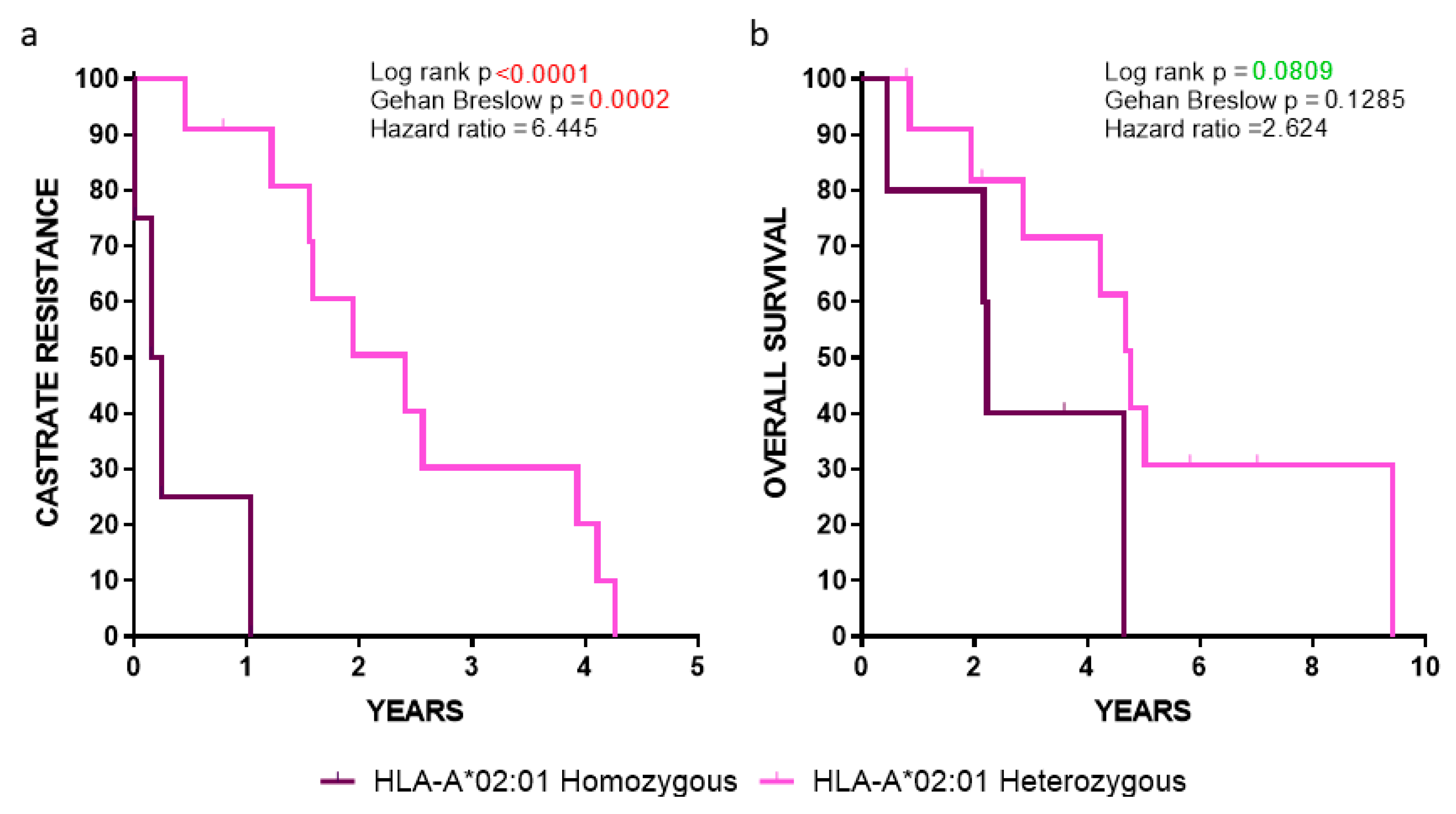 Cancers 12 01623 g004