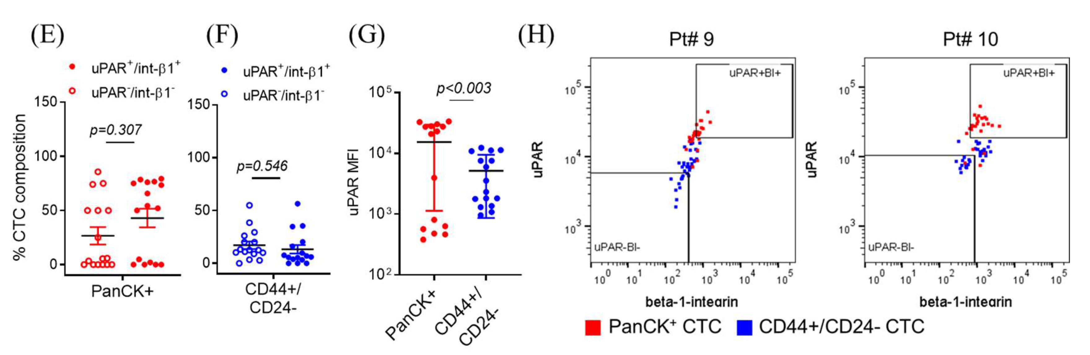 Cancers 12 01626 g002b Cancers 12 01626 g002b