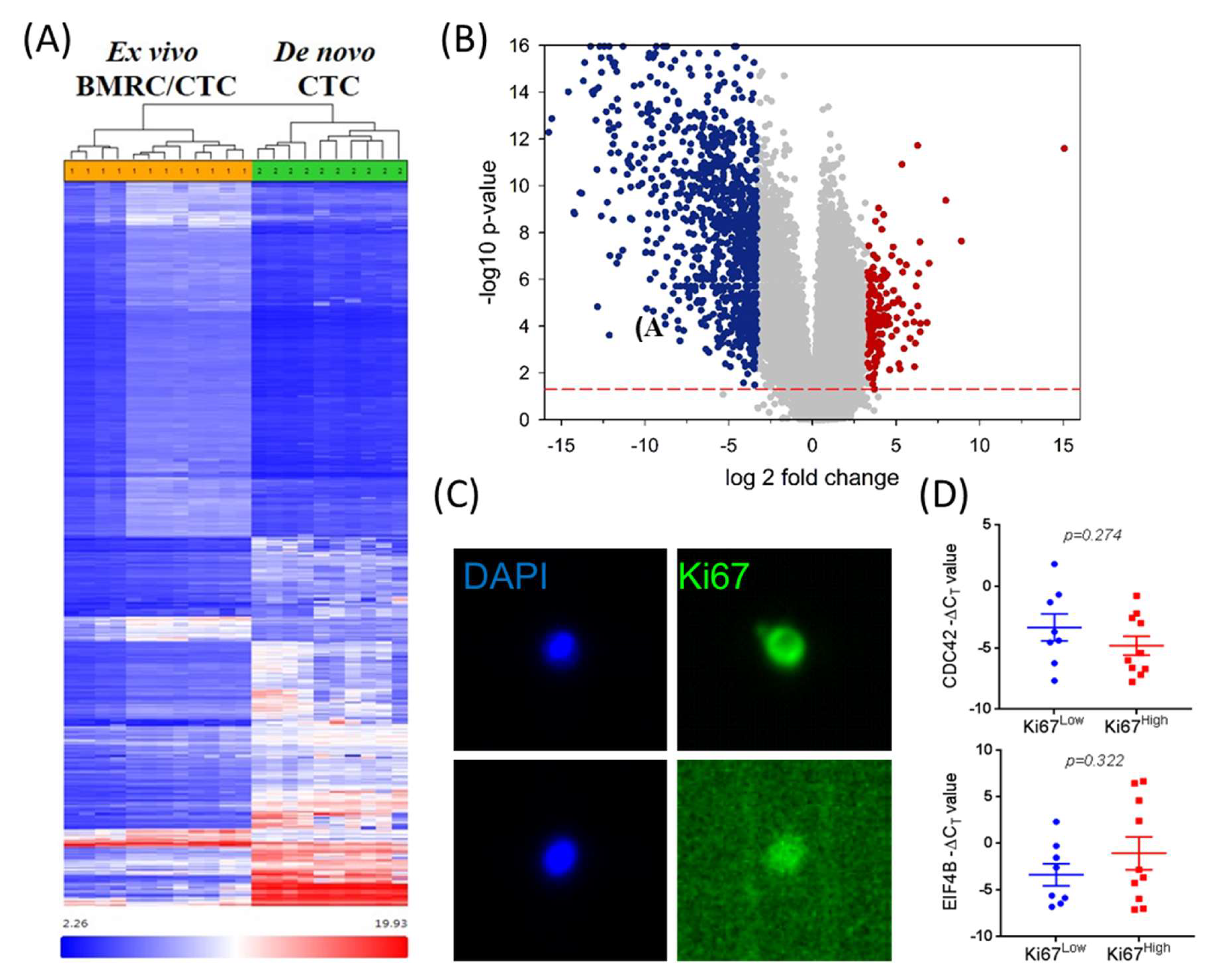 Cancers 12 01626 g005 Cancers 12 01626 g005