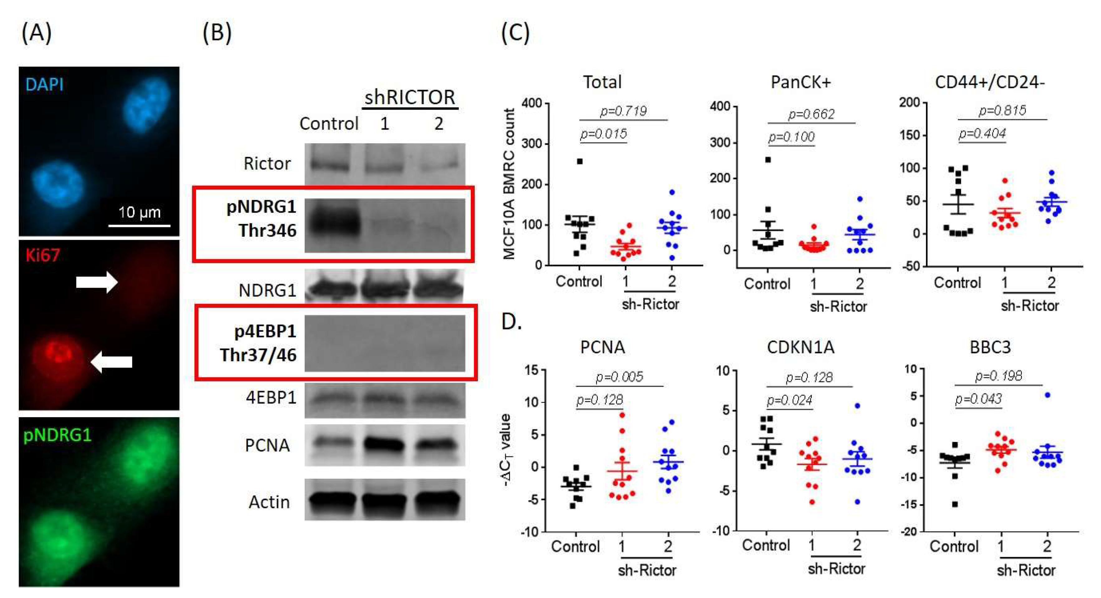 Cancers 12 01626 g007 Cancers 12 01626 g007