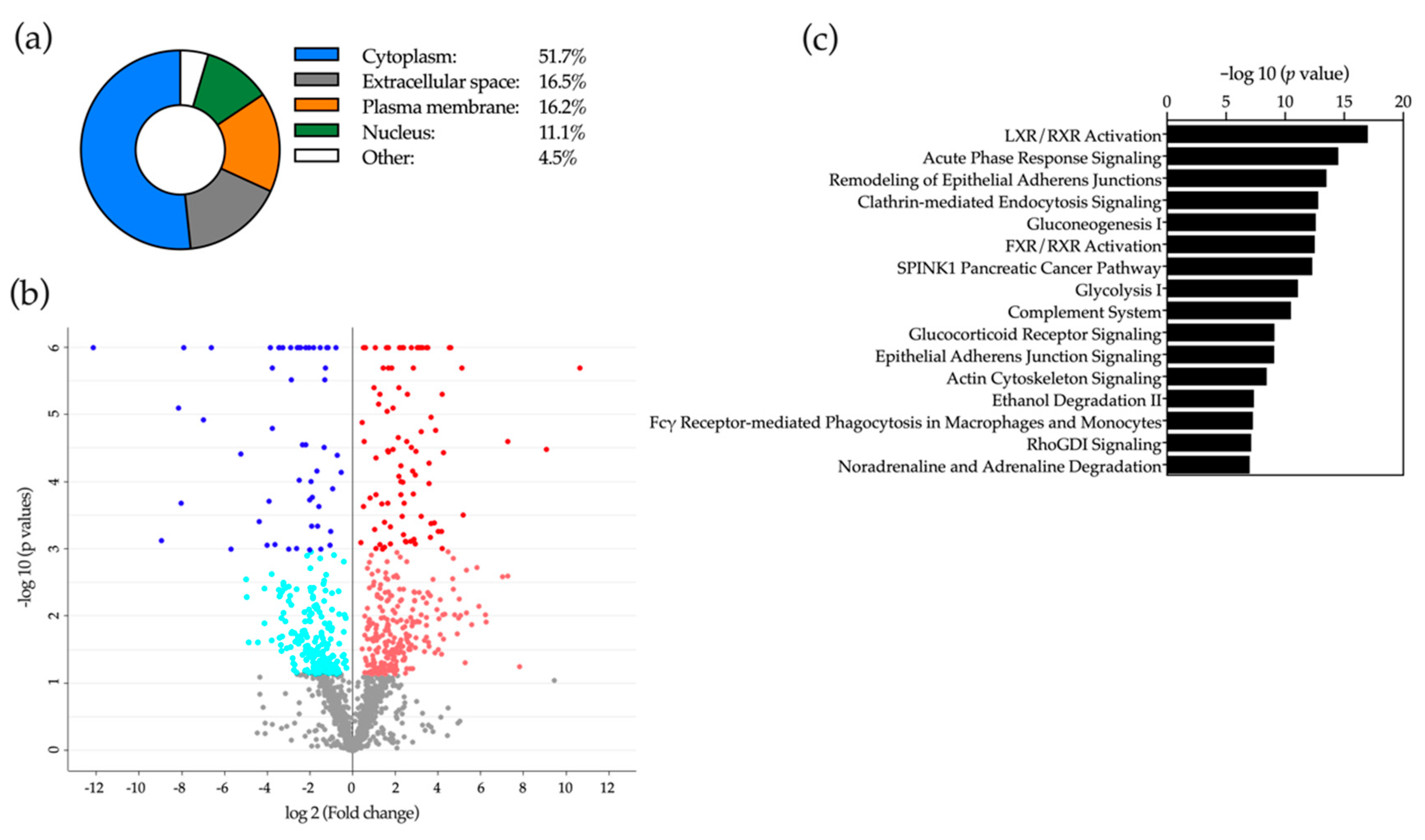Cancers 12 01644 g007