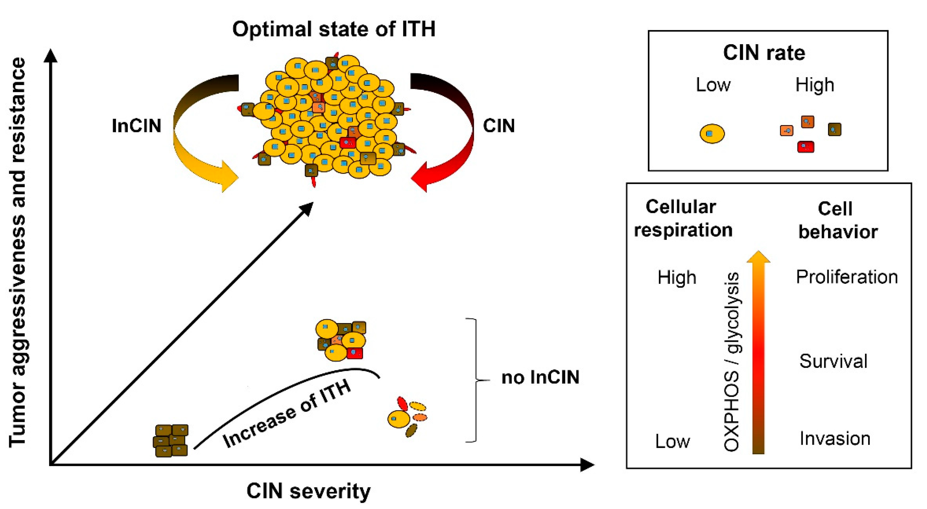 Cancers 12 01649 g002