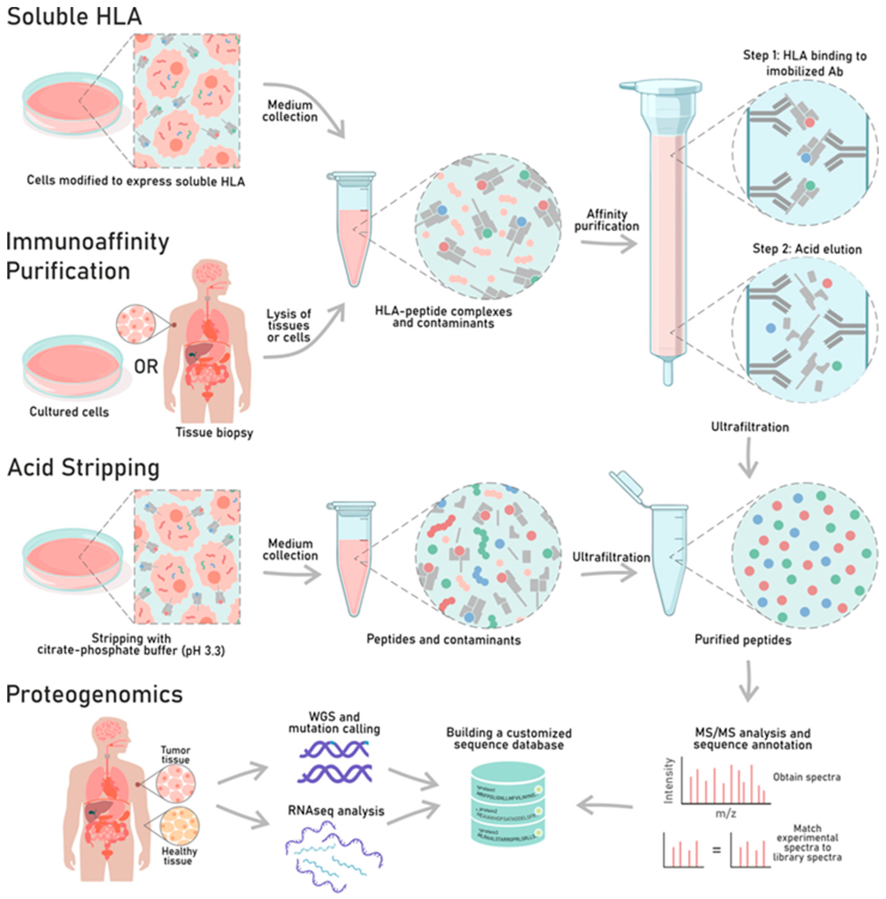 Cancers 12 01660 g002 Cancers 12 01660 g002