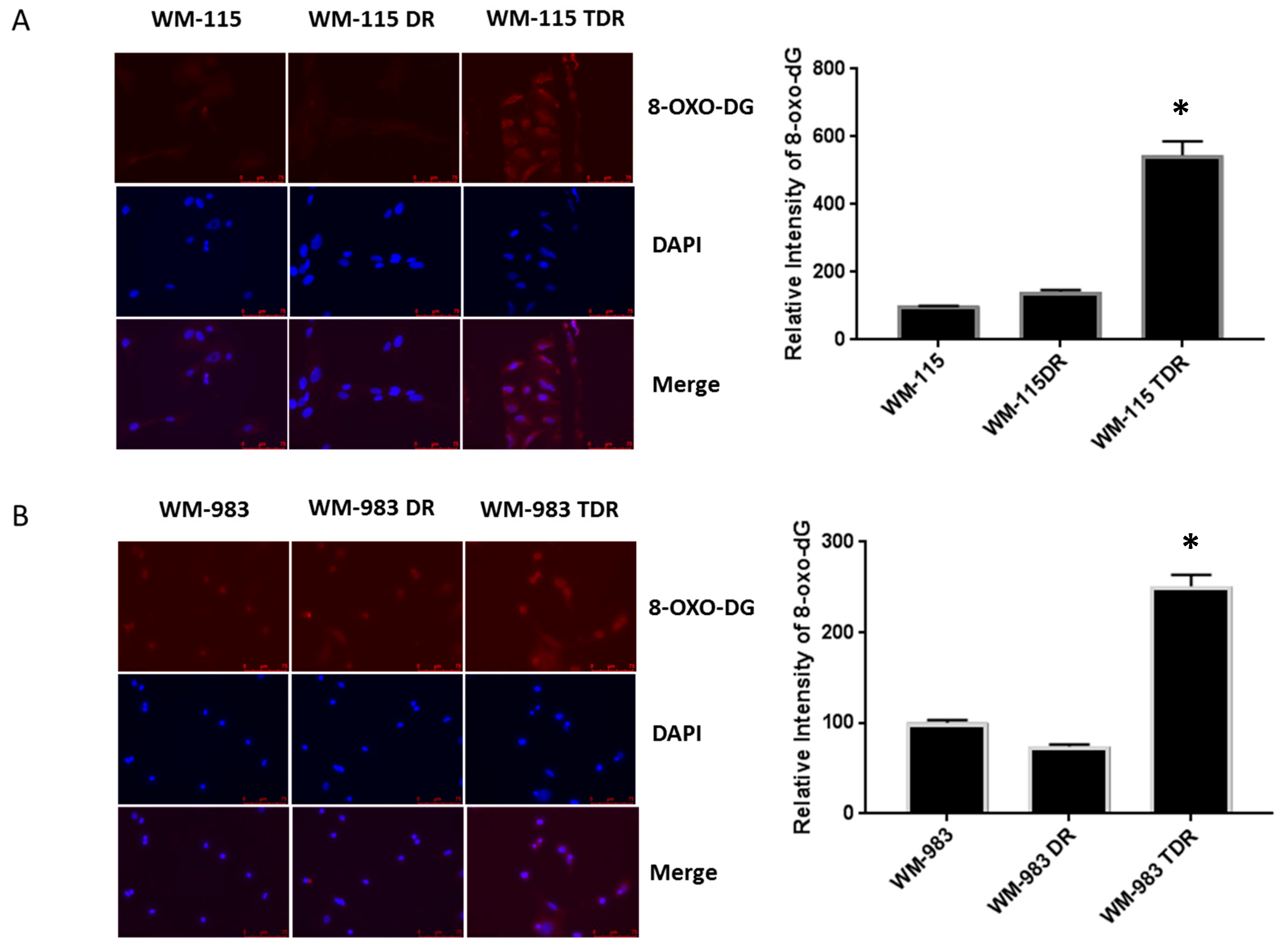 Cancers 12 01661 g003 Cancers 12 01661 g003