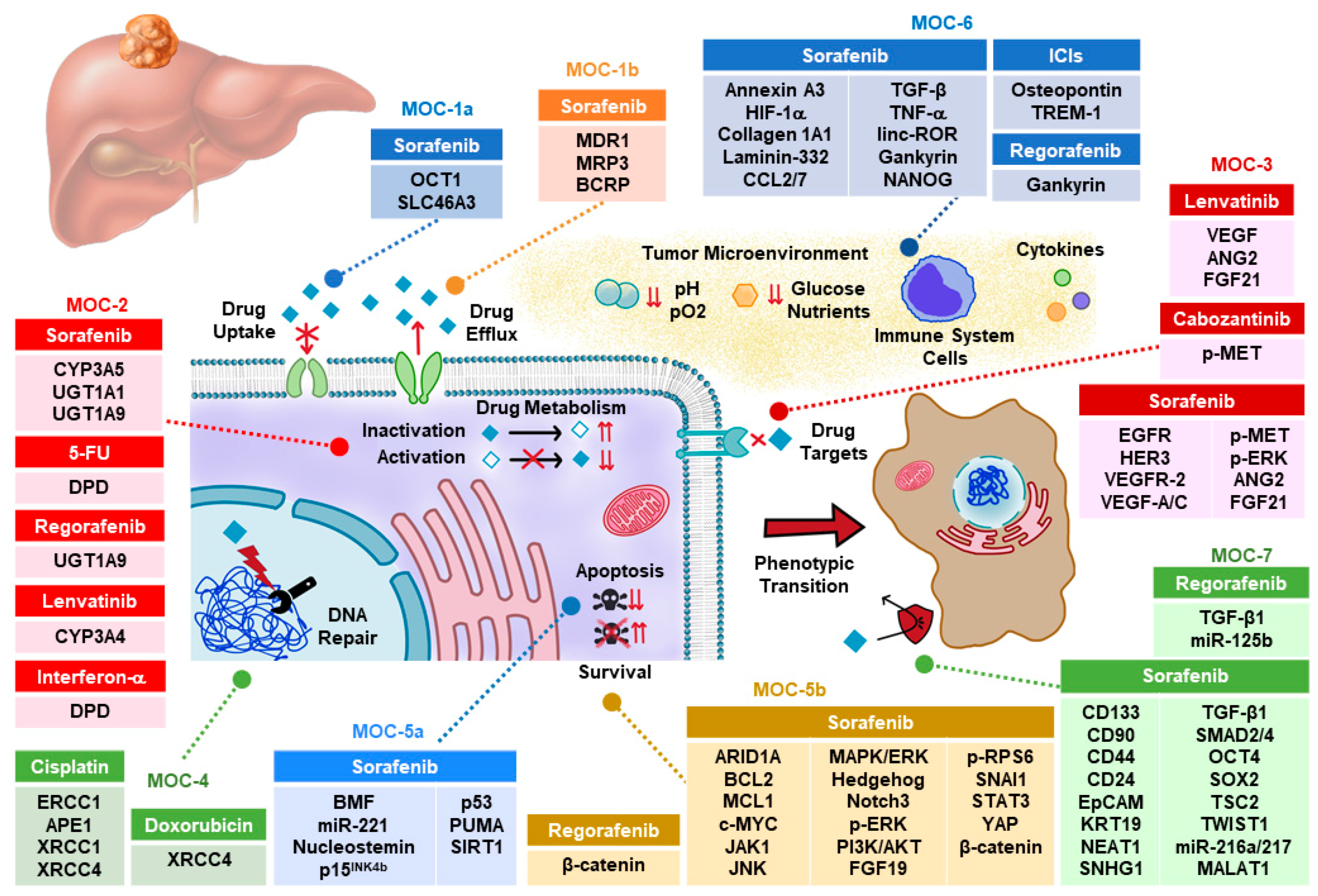 Cancers 12 01663 g001
