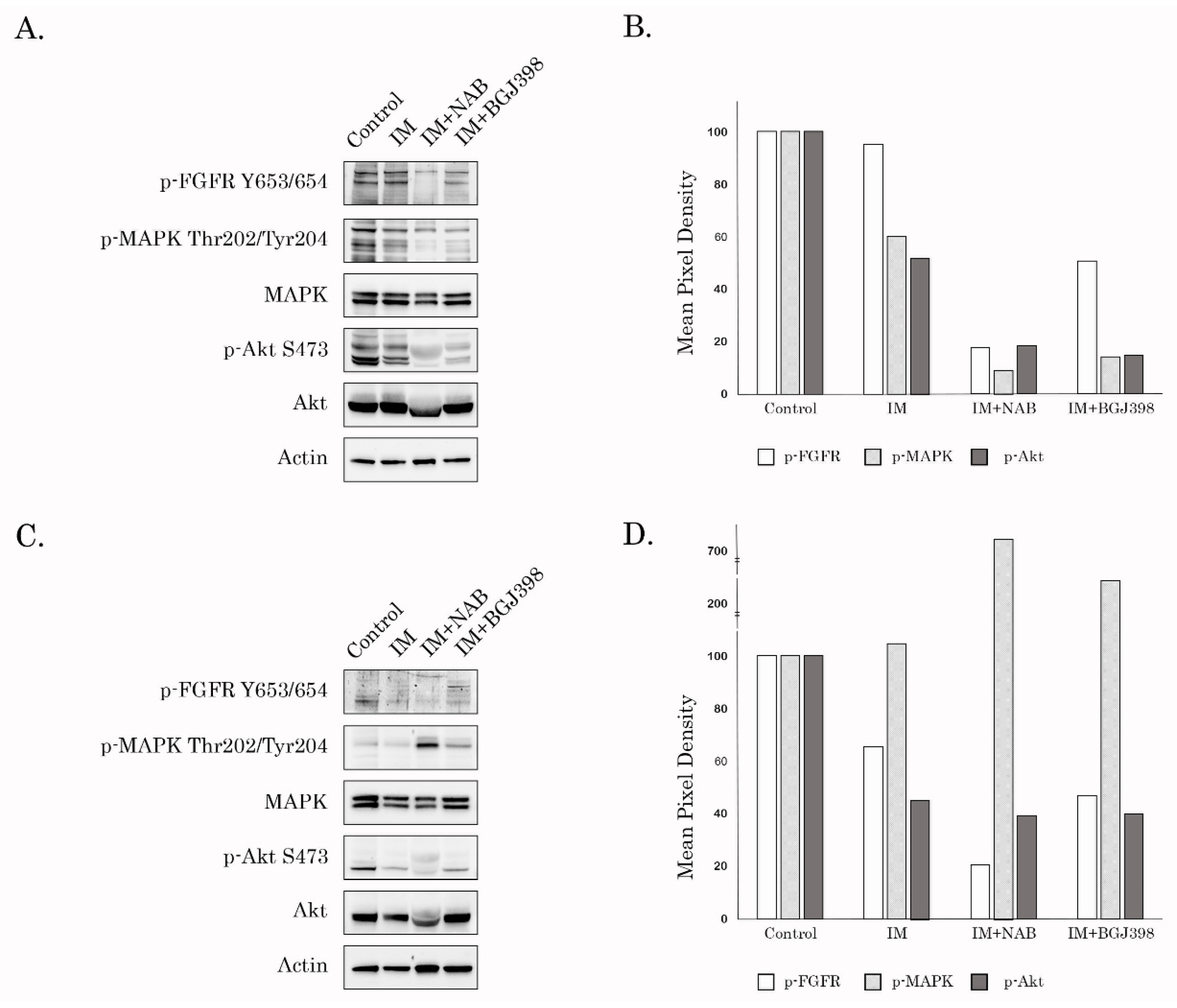 Cancers 12 01674 g003