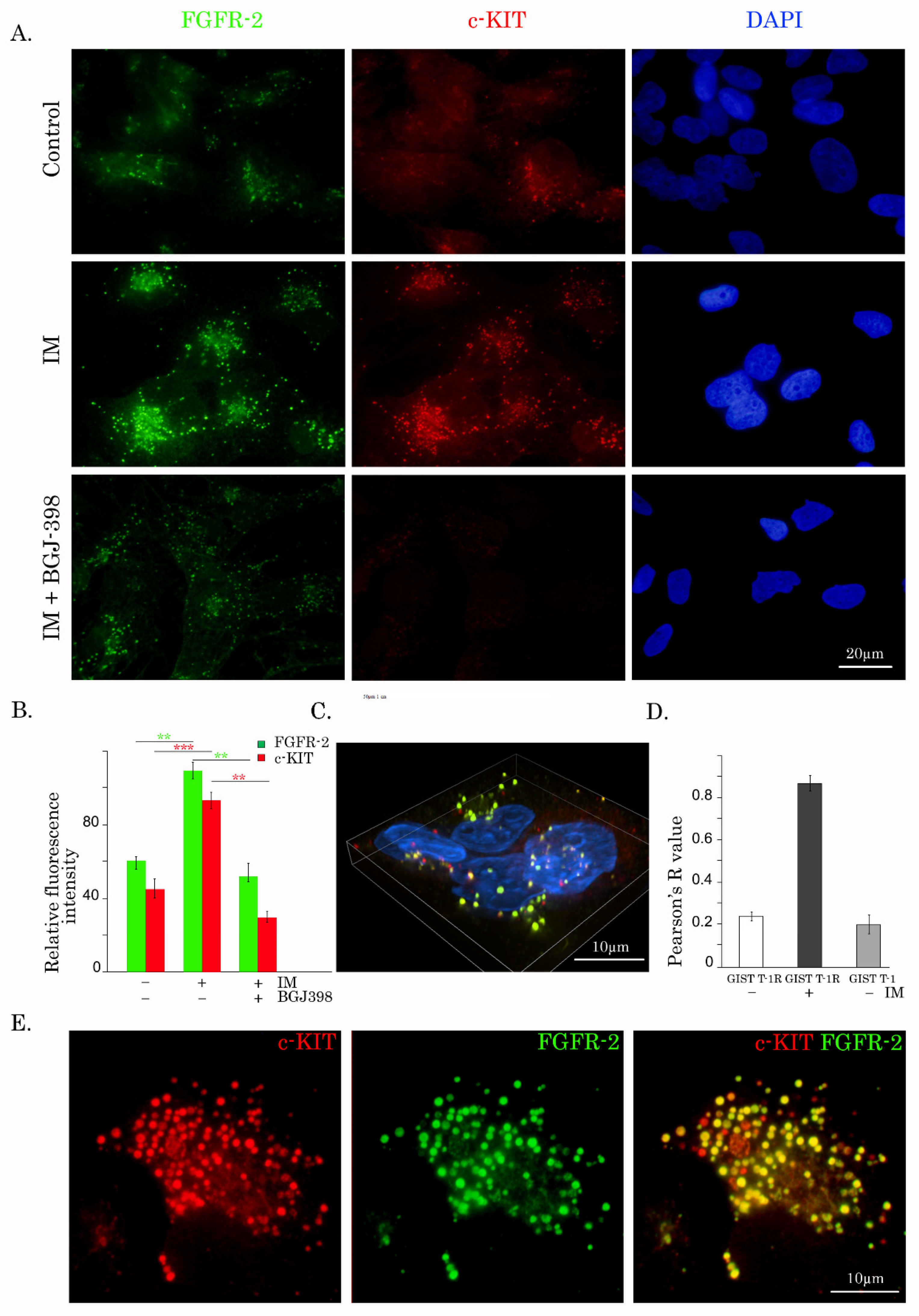 Cancers 12 01674 g004