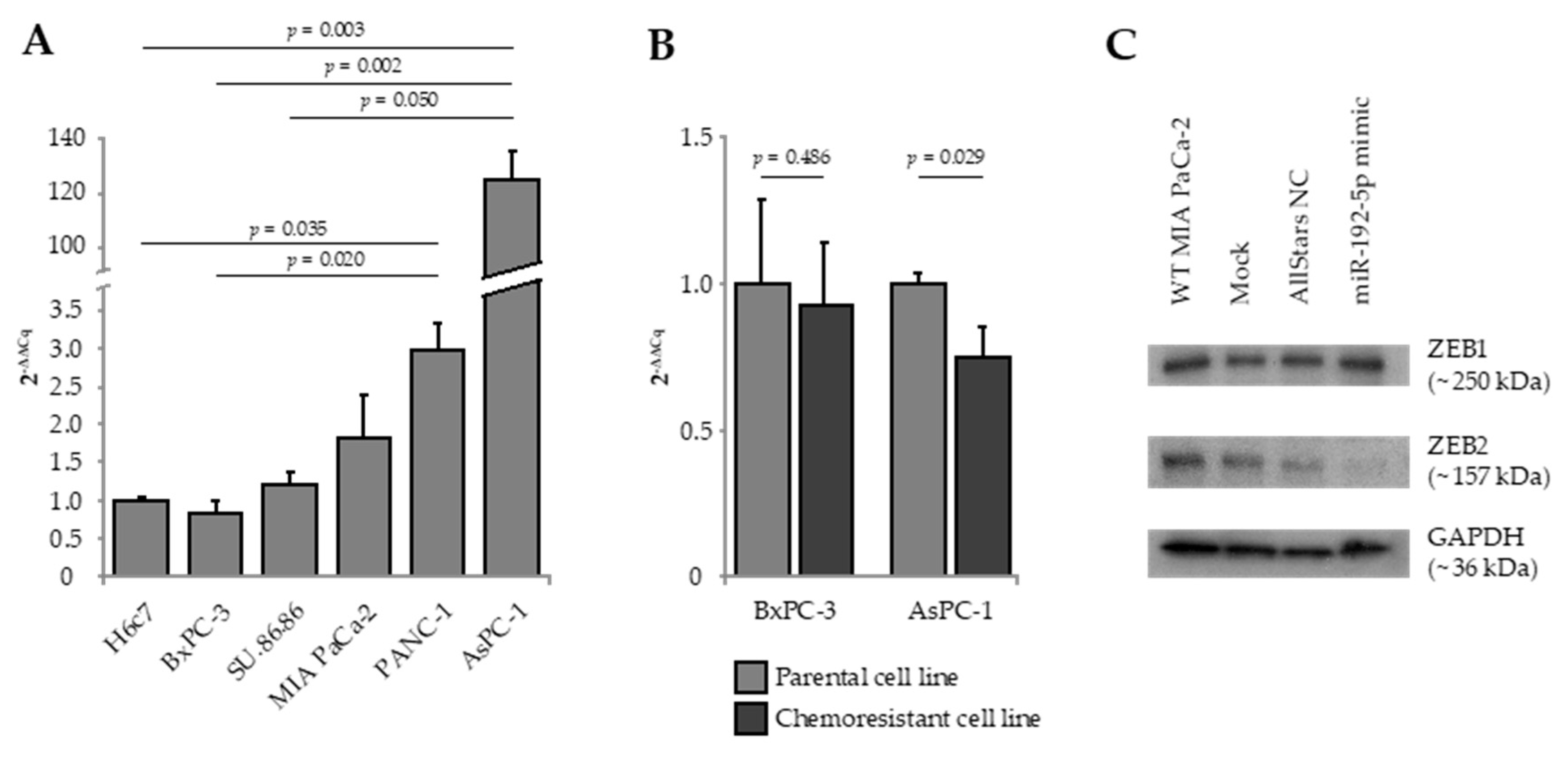 Cancers 12 01693 g001