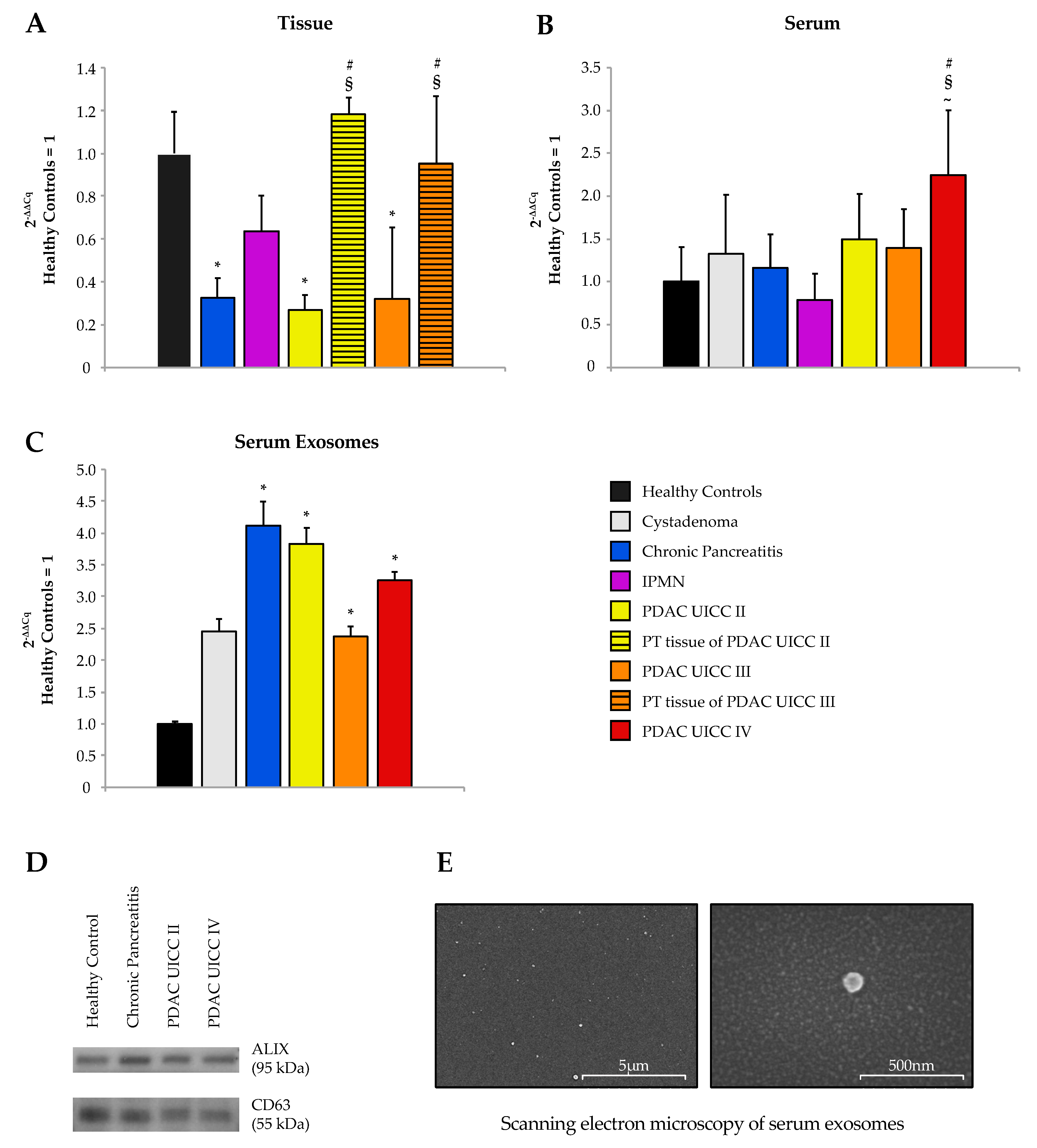 Cancers 12 01693 g002