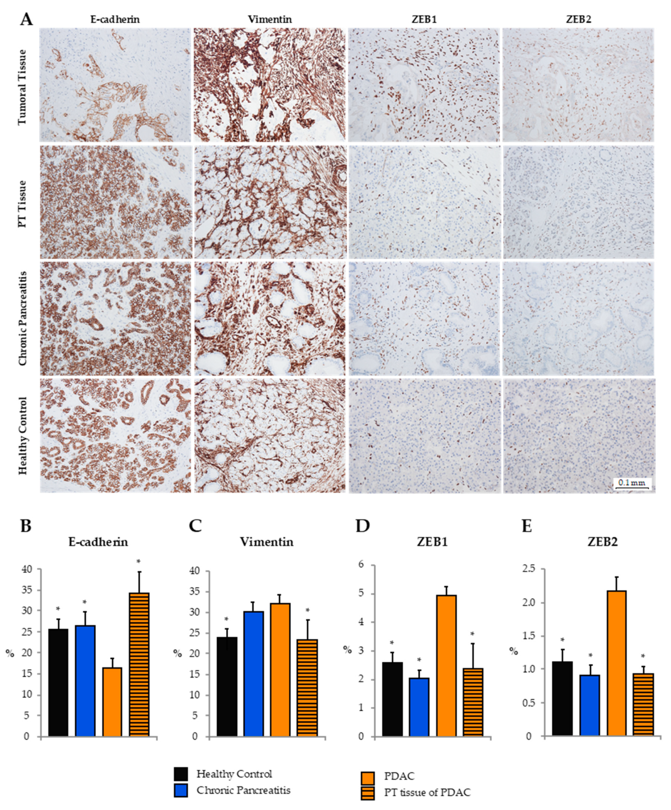 Cancers 12 01693 g003