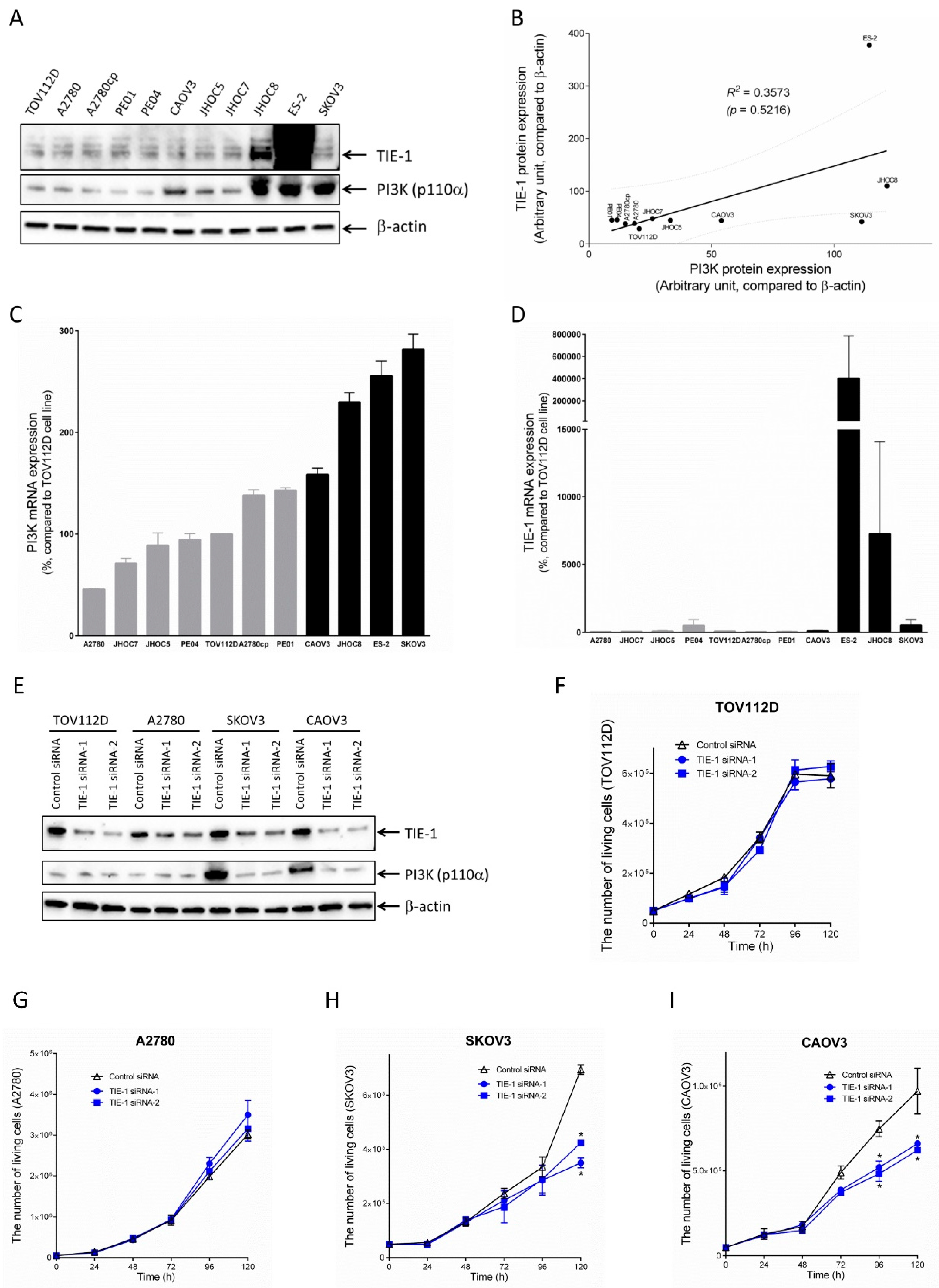 Cancers 12 01705 g002