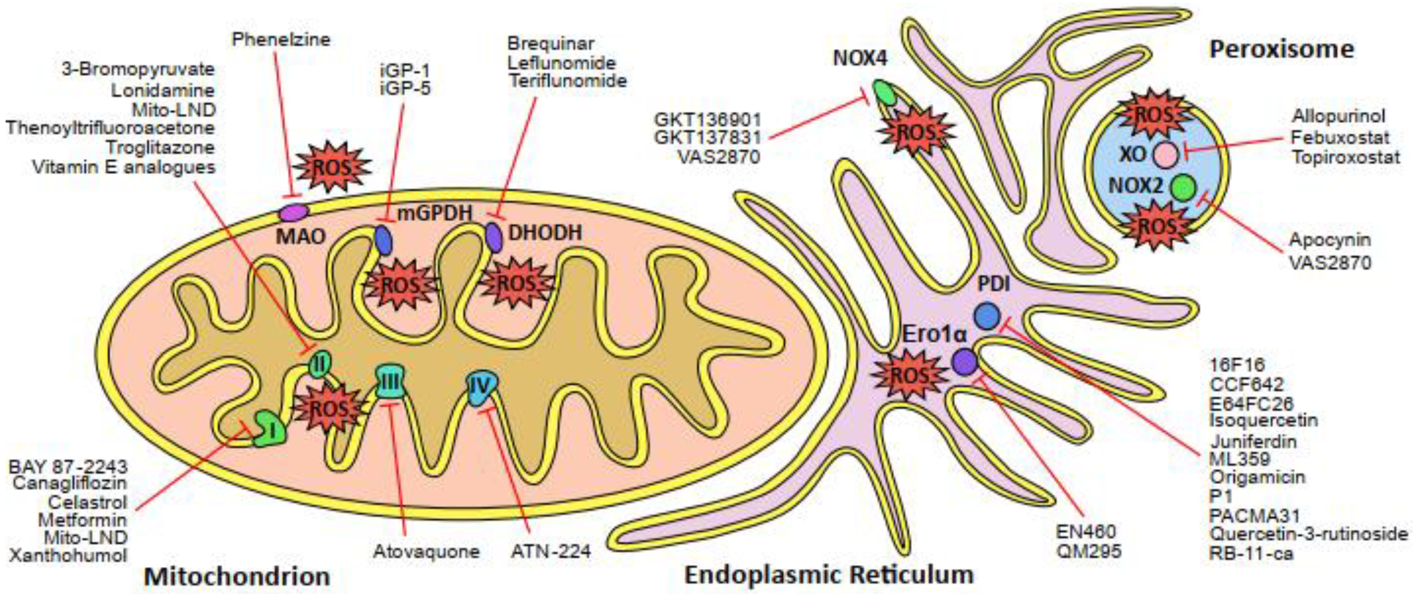 Cancers 12 01706 g001
