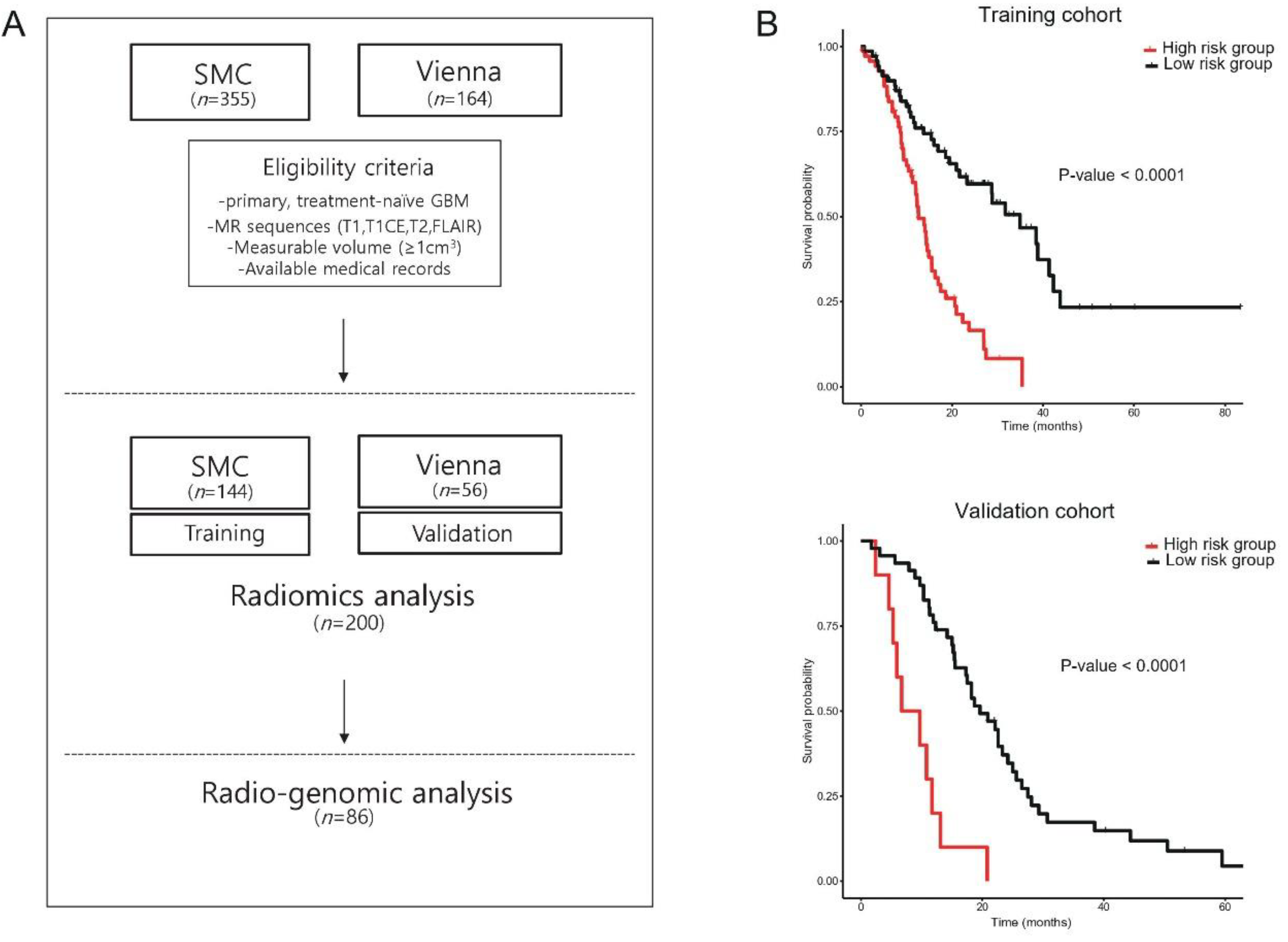 Cancers 12 01707 g001