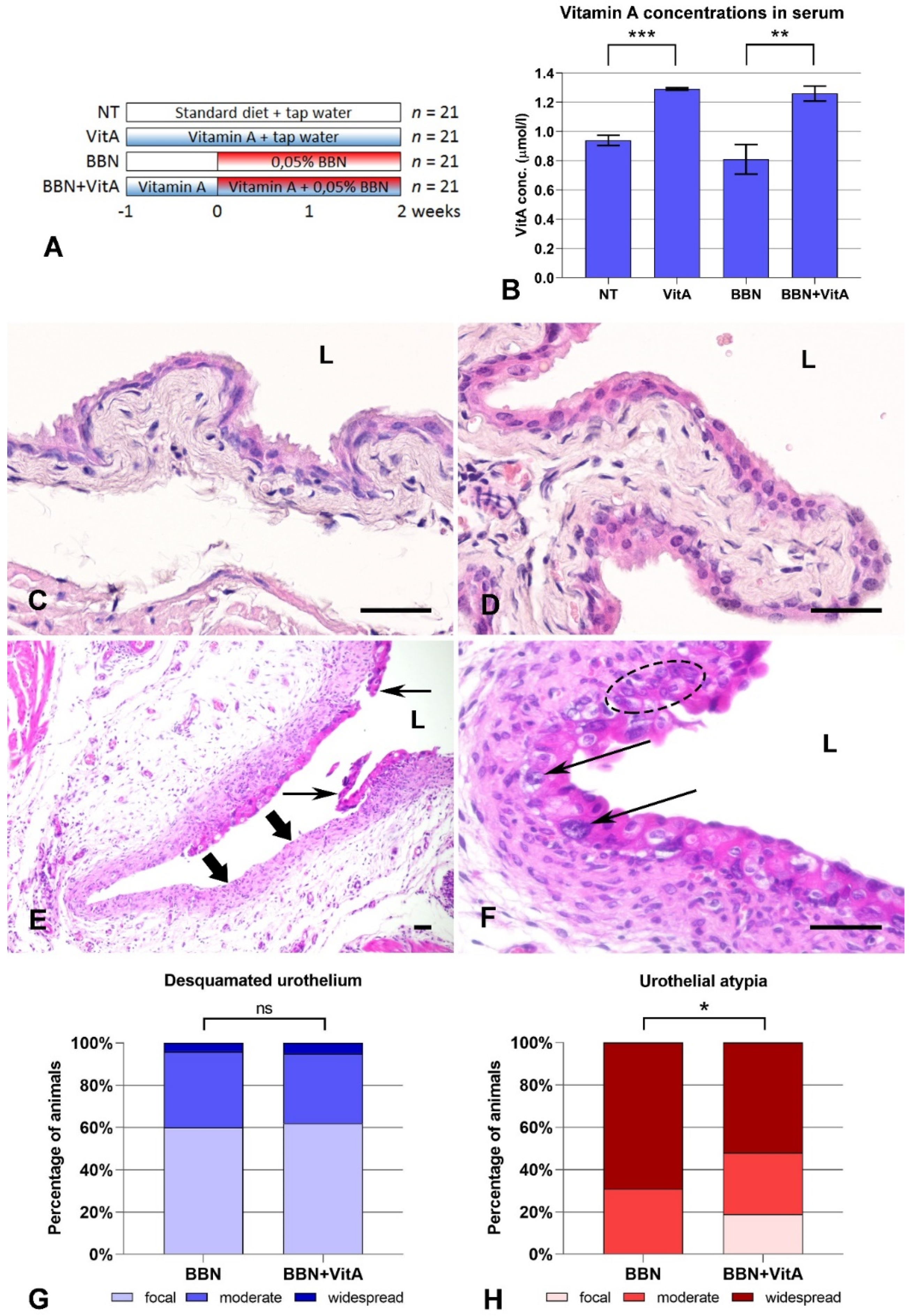 Cancers 12 01712 g001