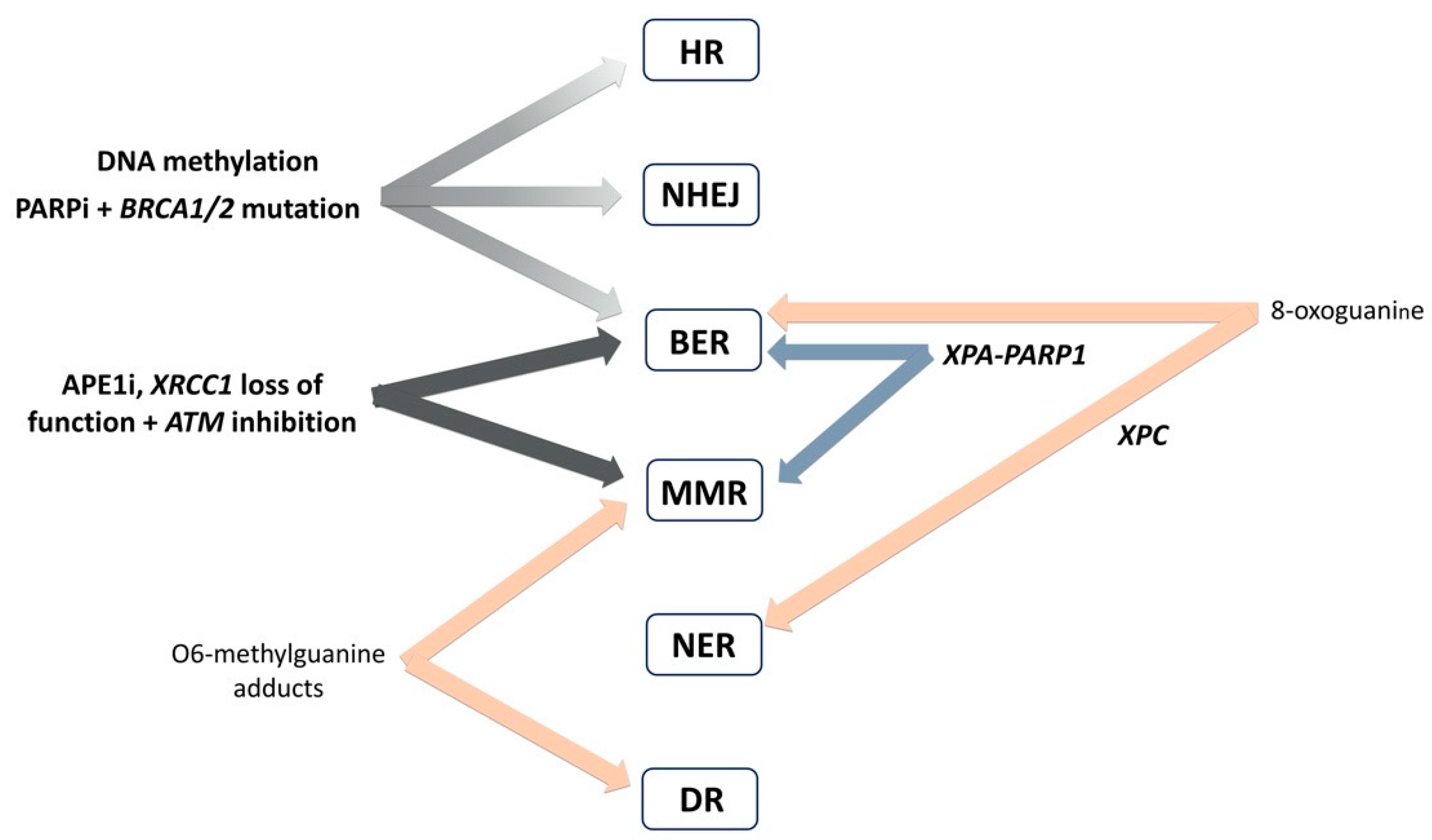 Cancers 12 01713 g008