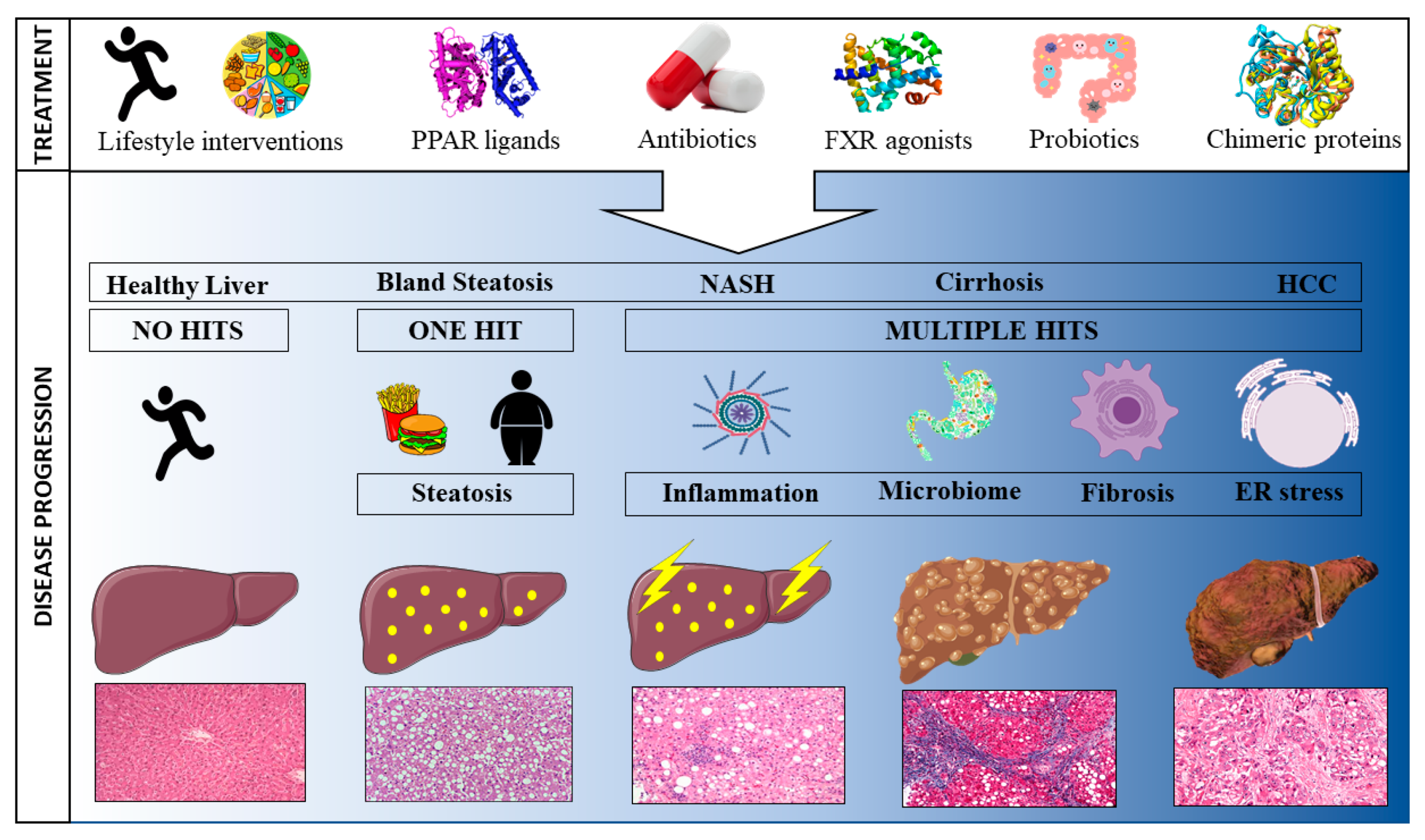 Cancers 12 01714 g001 Cancers 12 01714 g001