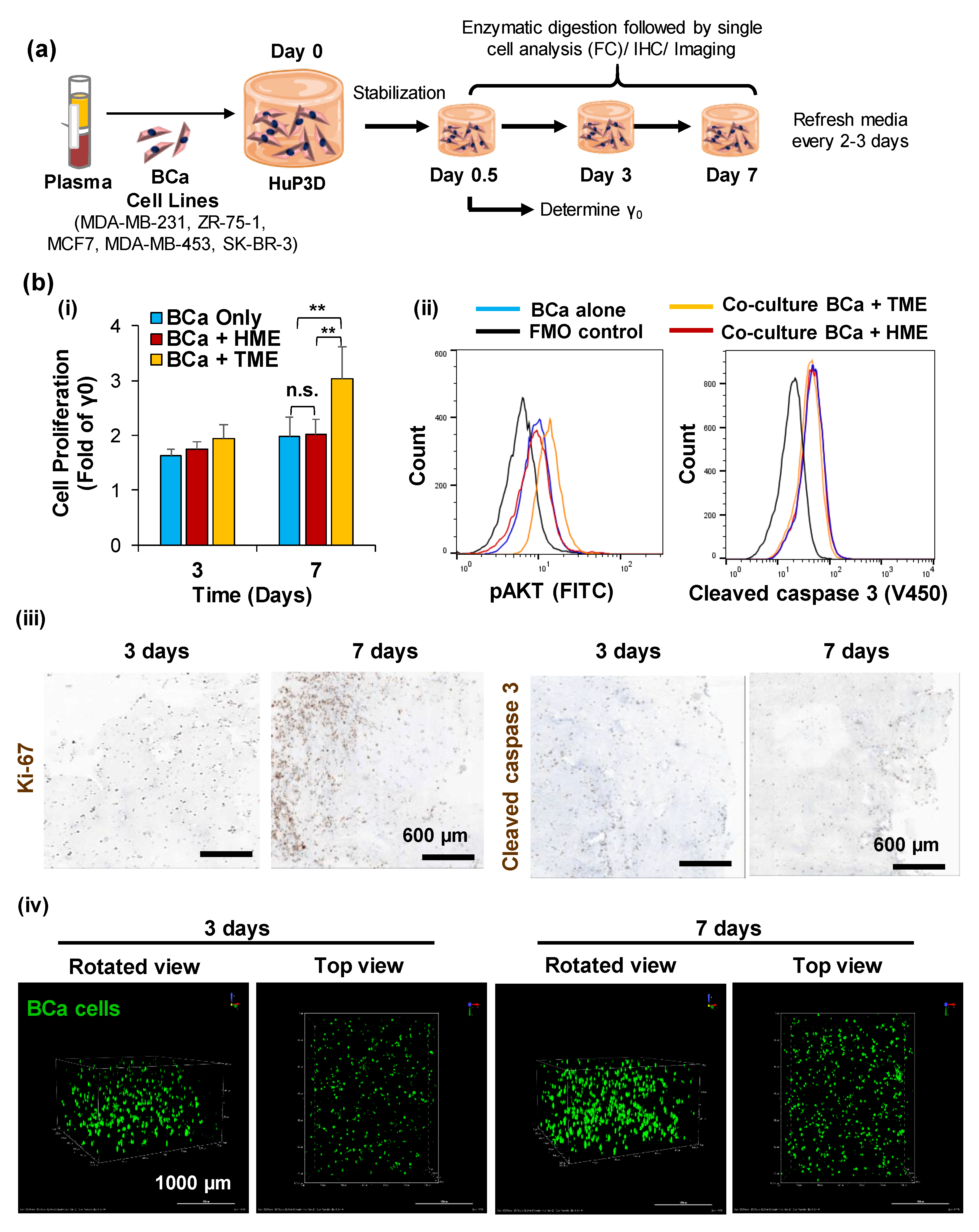 Cancers 12 01722 g002