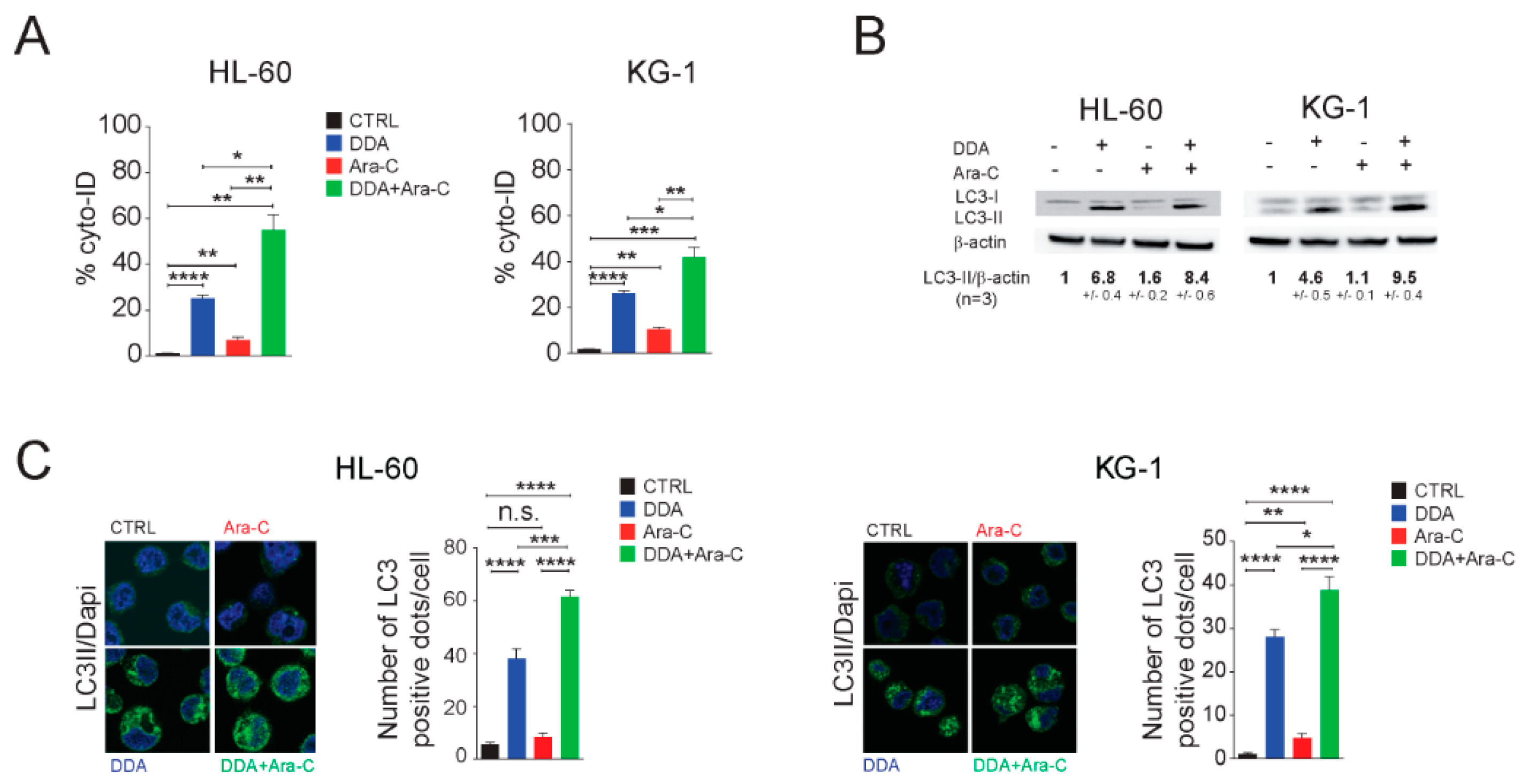 Cancers 12 01725 g002a