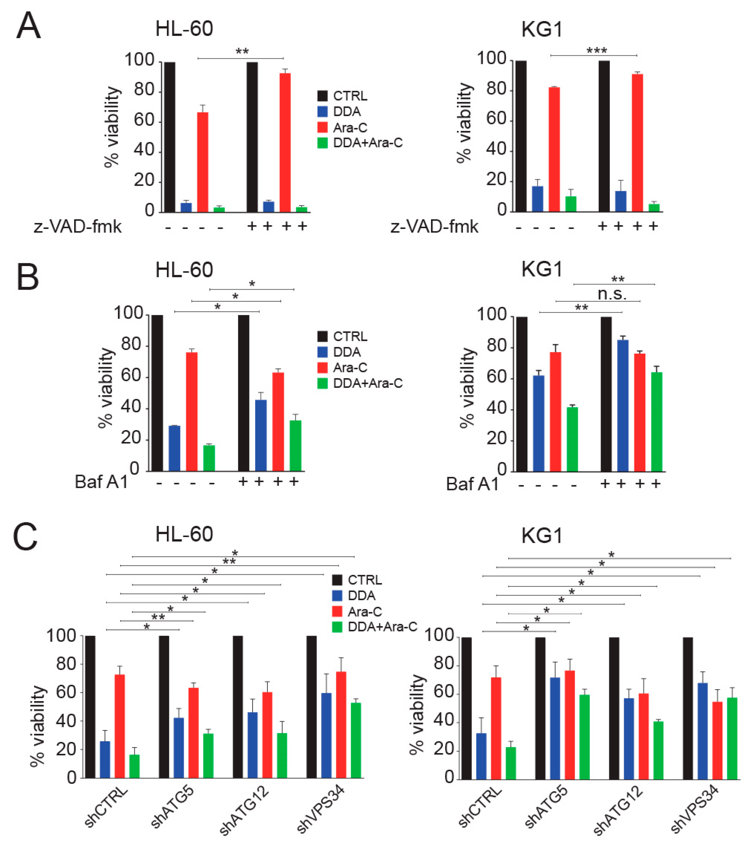 Cancers 12 01725 g003