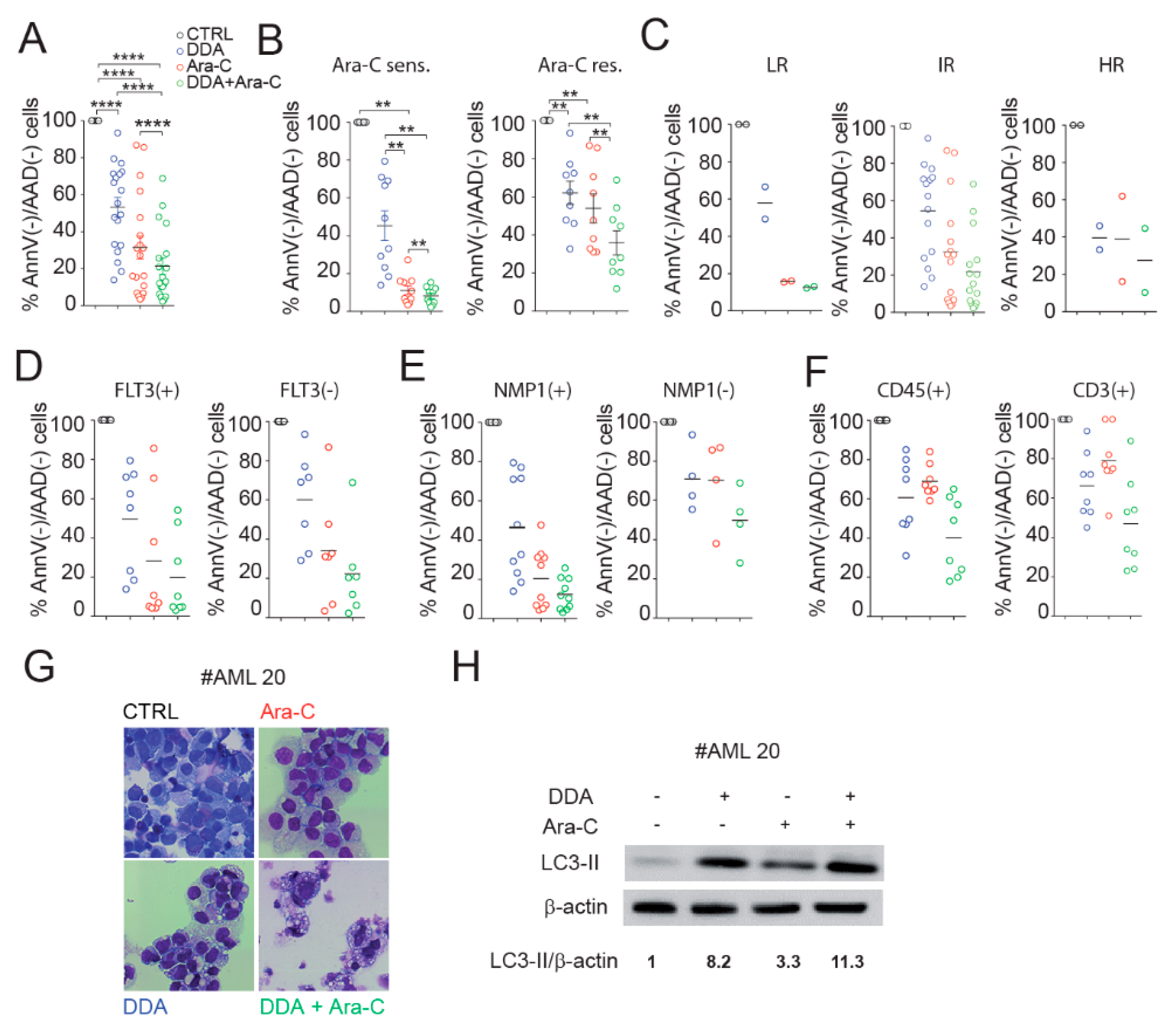 Cancers 12 01725 g005