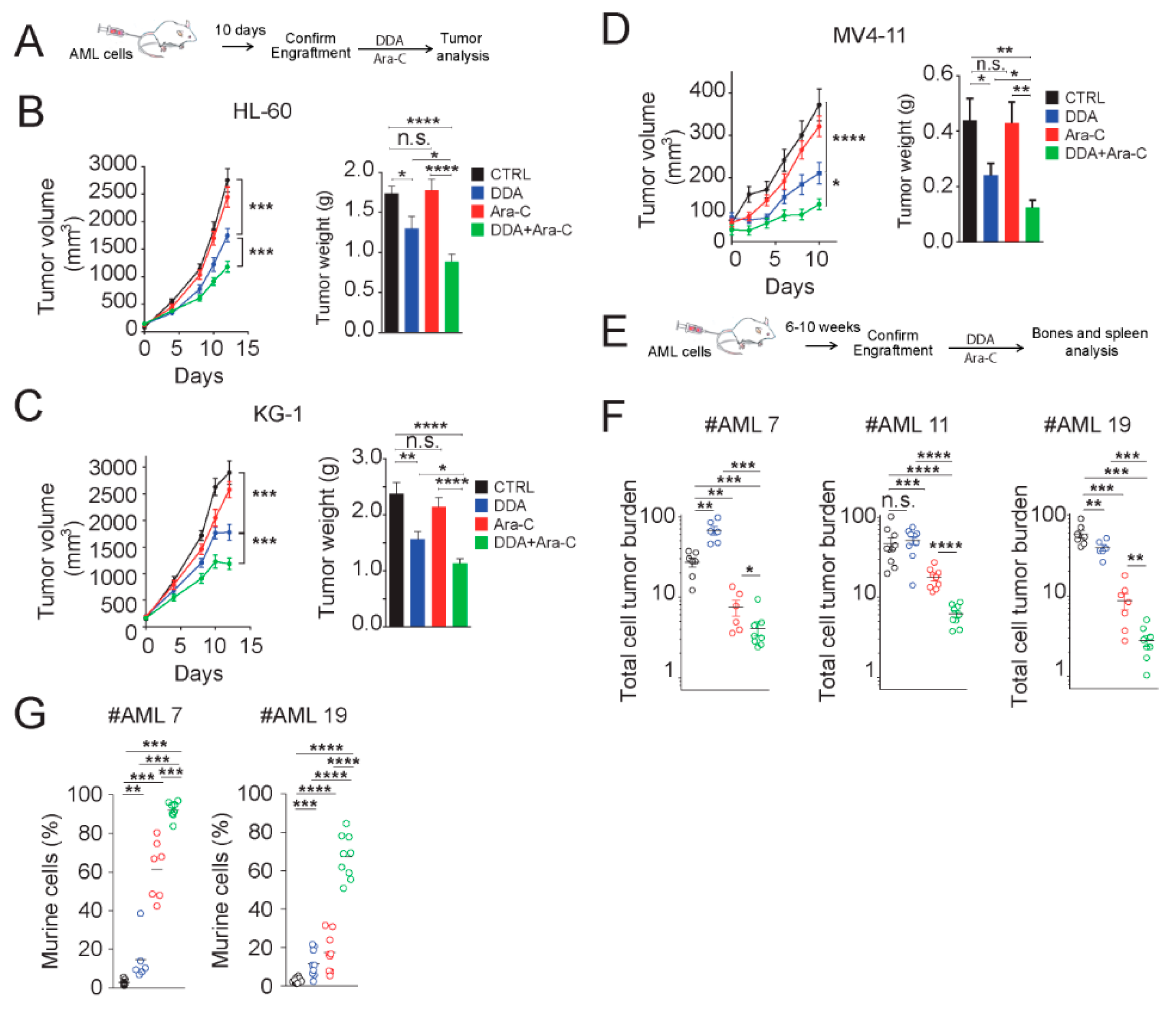 Cancers 12 01725 g006