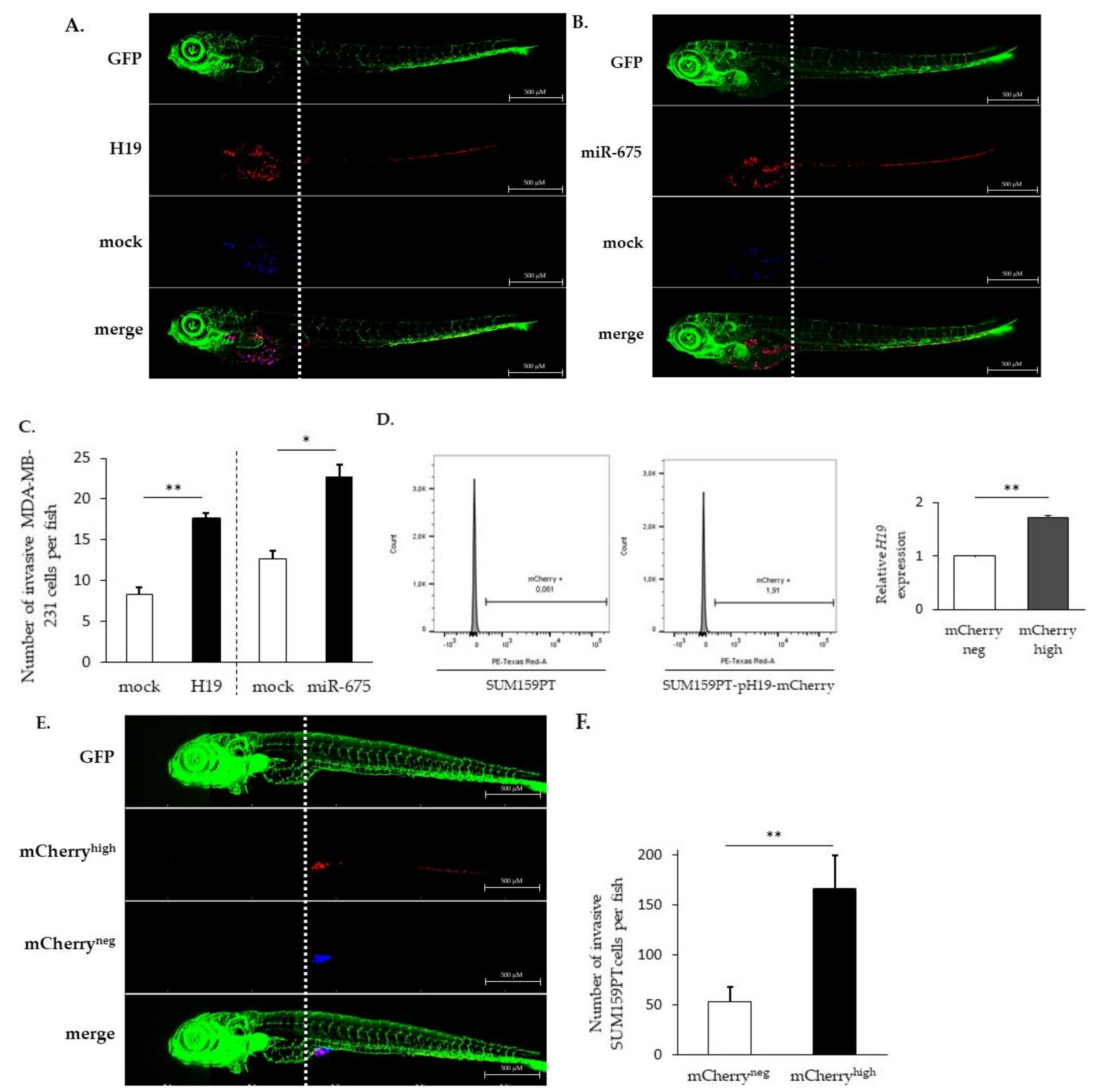 Cancers 12 01730 g001