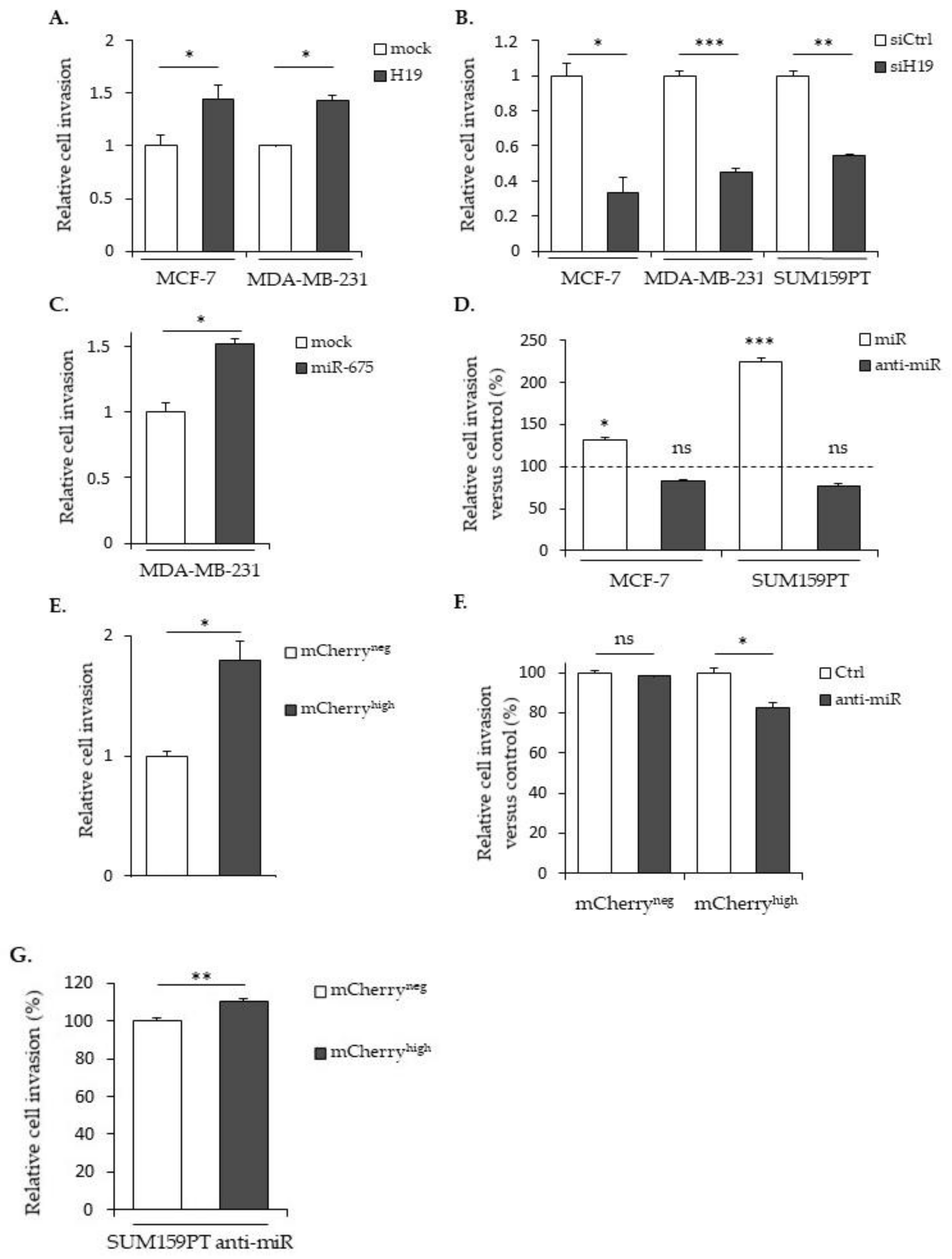 Cancers 12 01730 g003