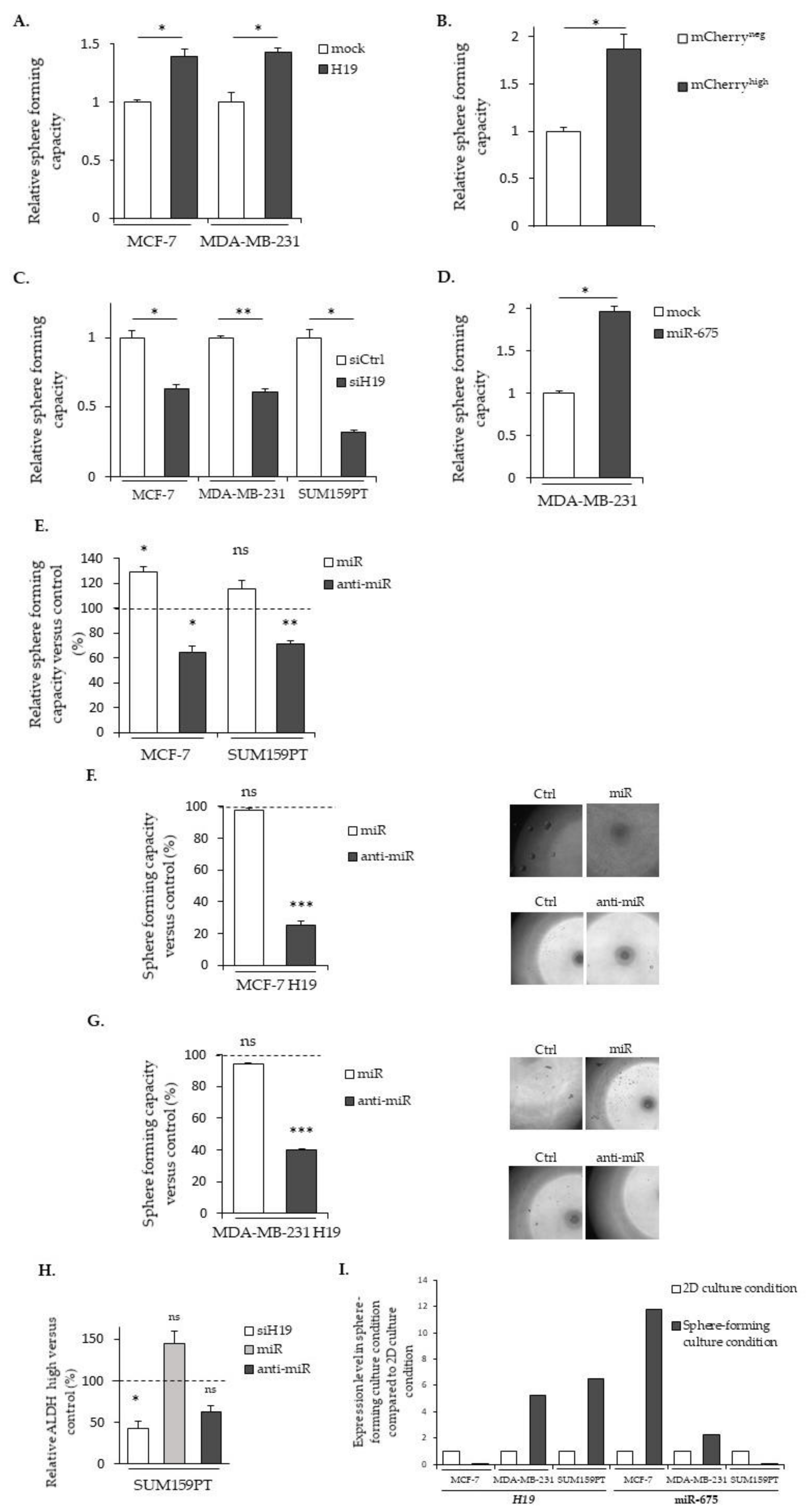 Cancers 12 01730 g007