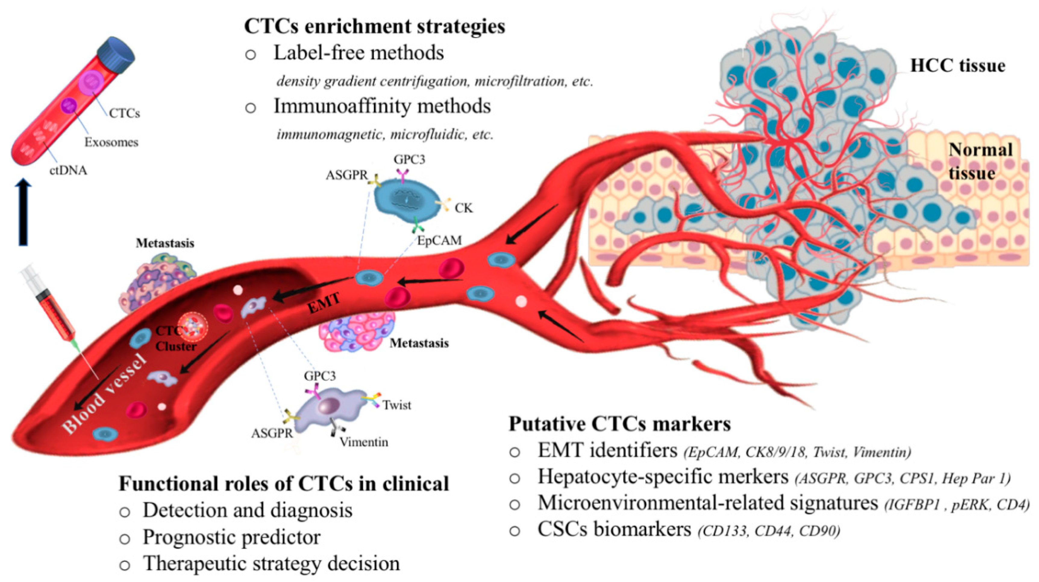 Cancers 12 01734 g001 Cancers 12 01734 g001