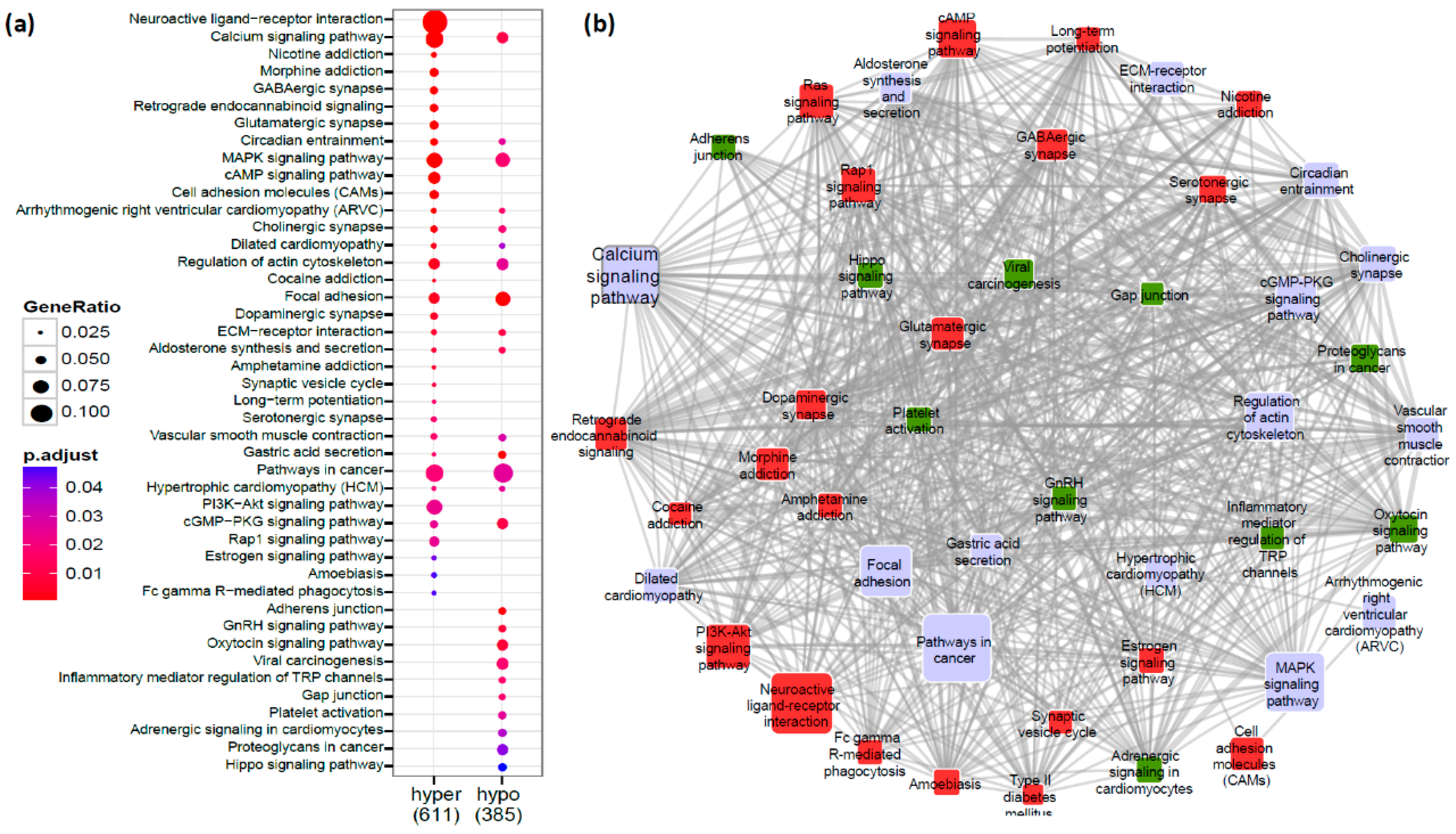 Cancers 12 01735 g002