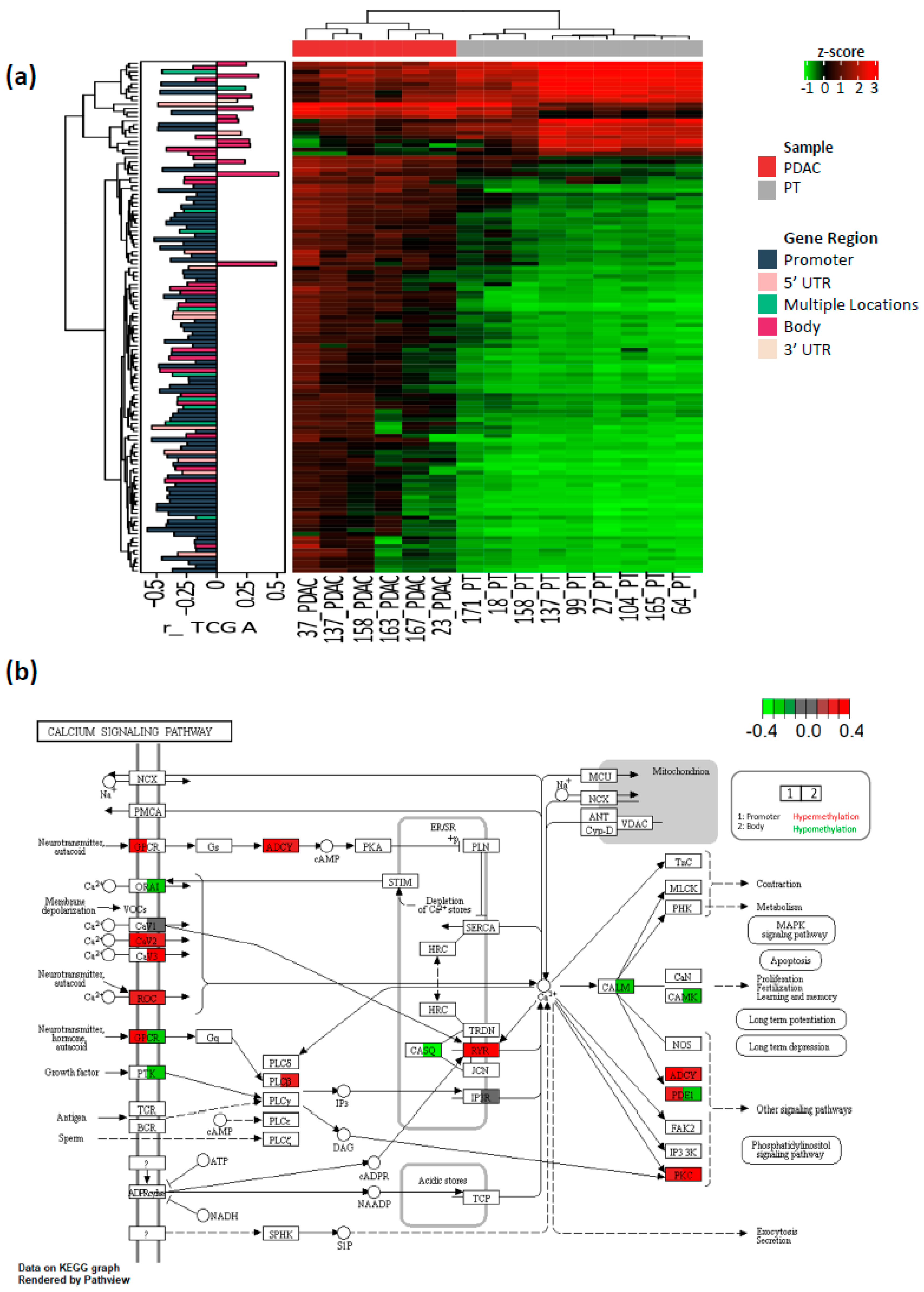 Cancers 12 01735 g004