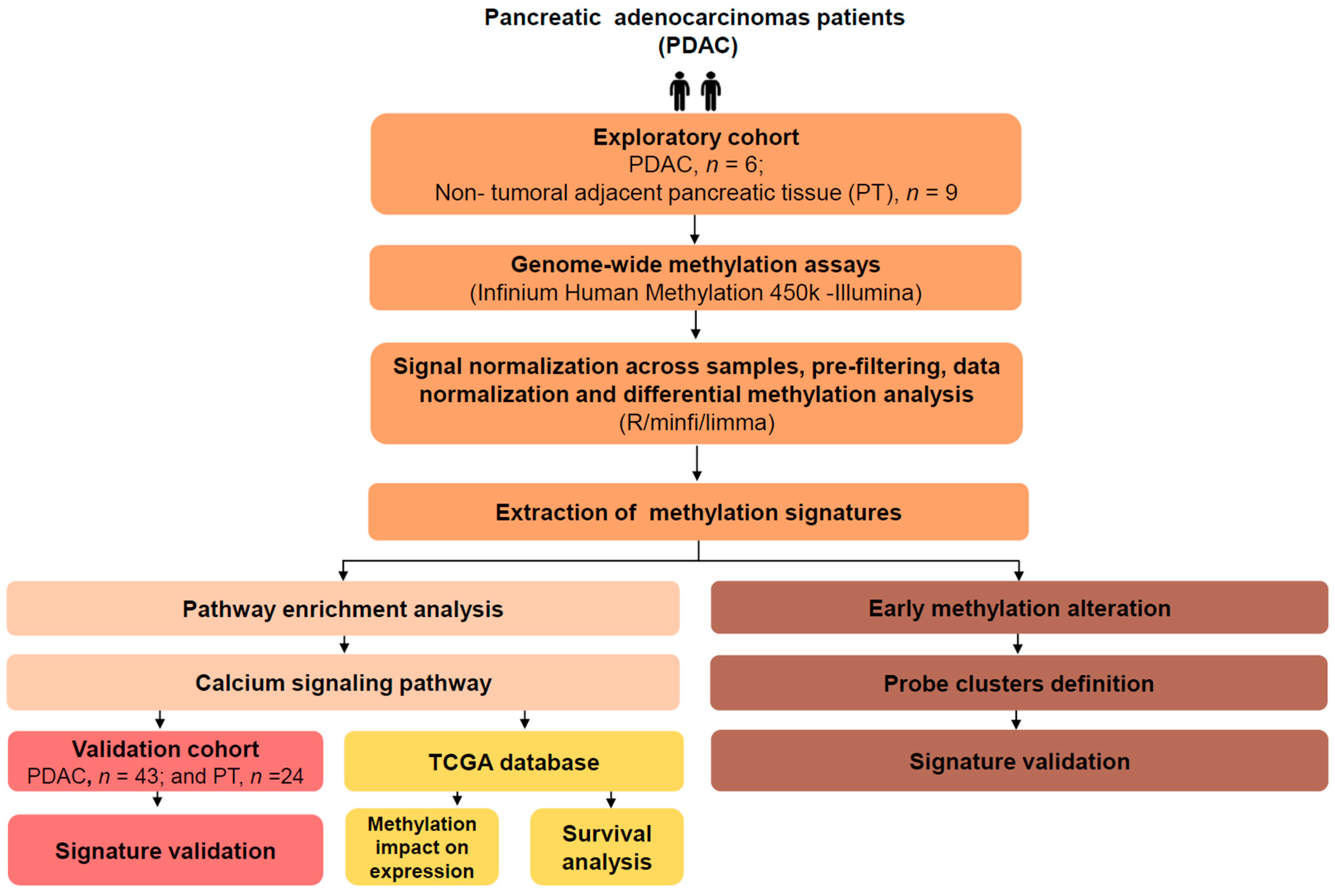Cancers 12 01735 sch001