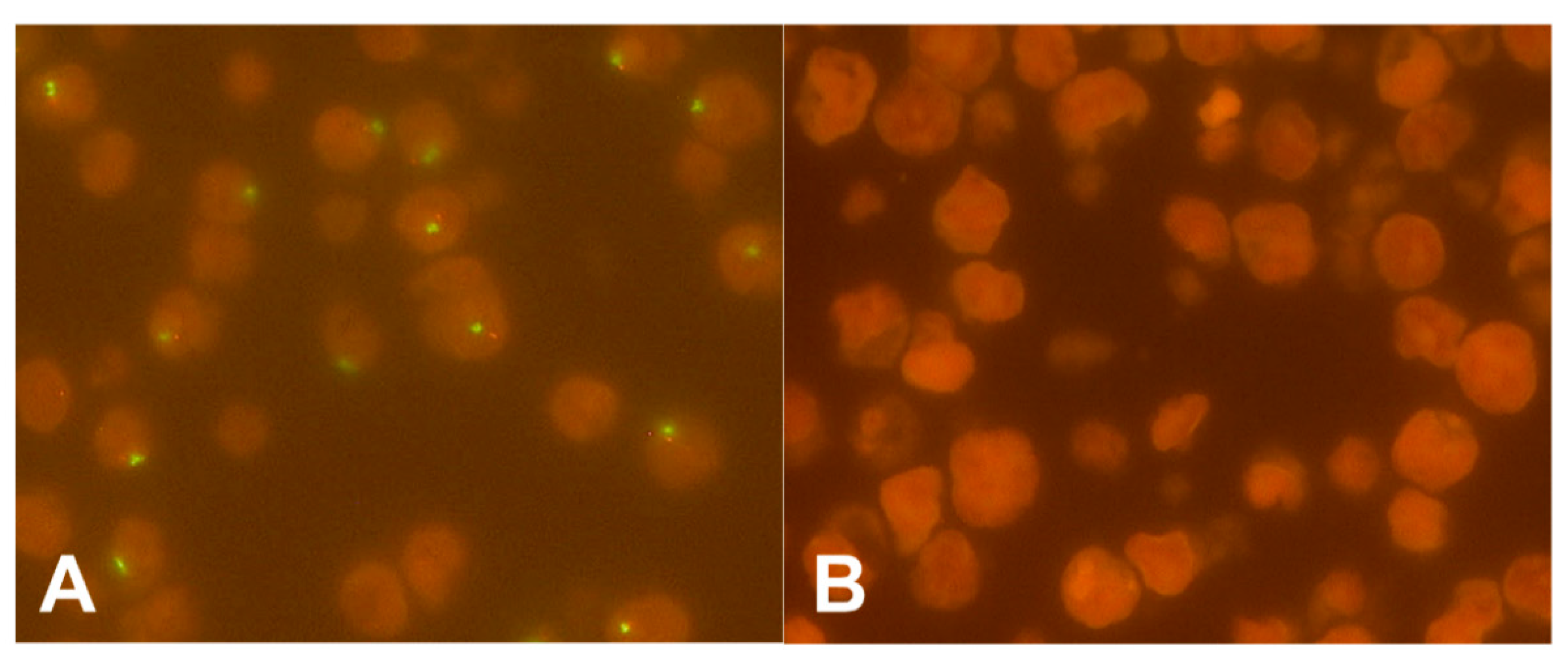 Cancers 12 01743 g001 Cancers 12 01743 g001
