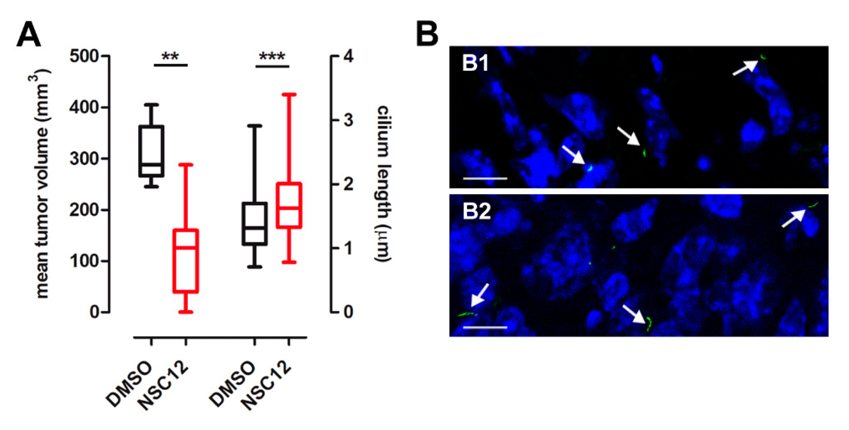 Cancers 12 01756 g009