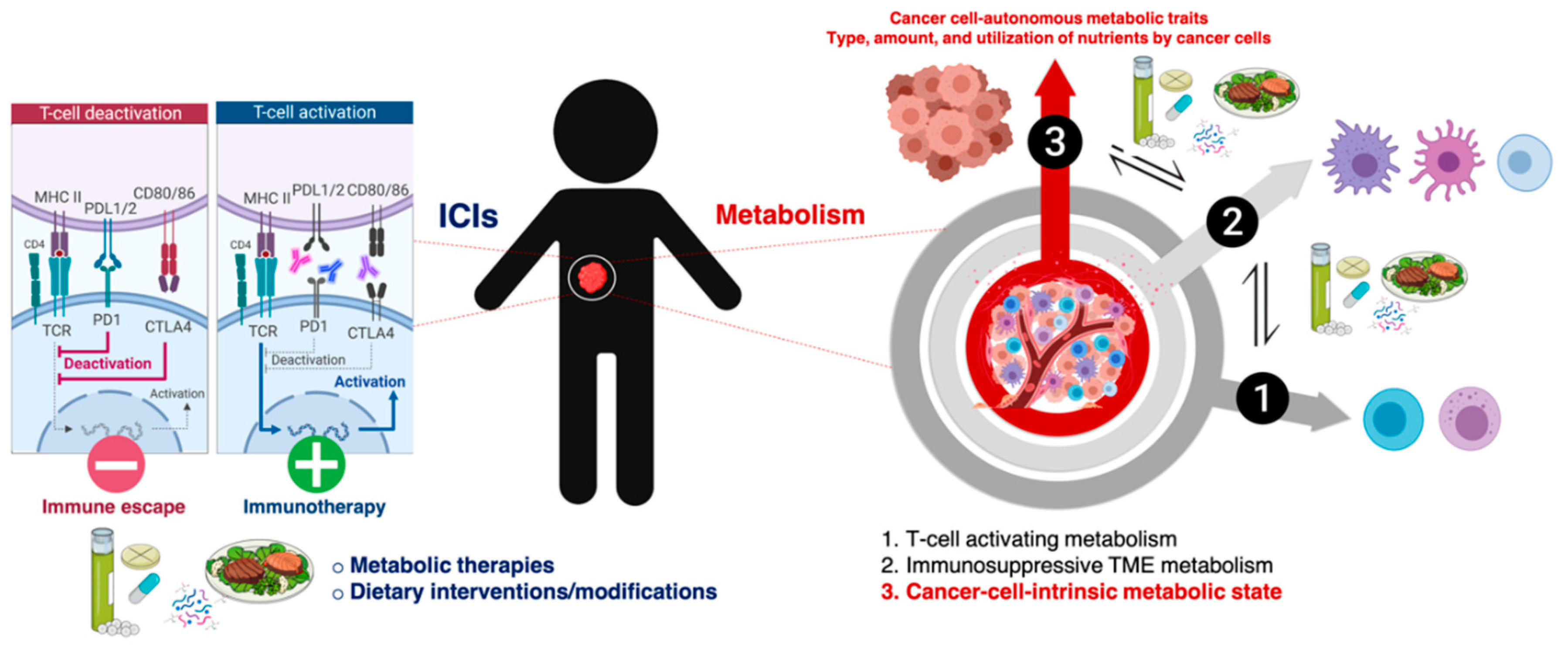 Cancers 12 01757 g001