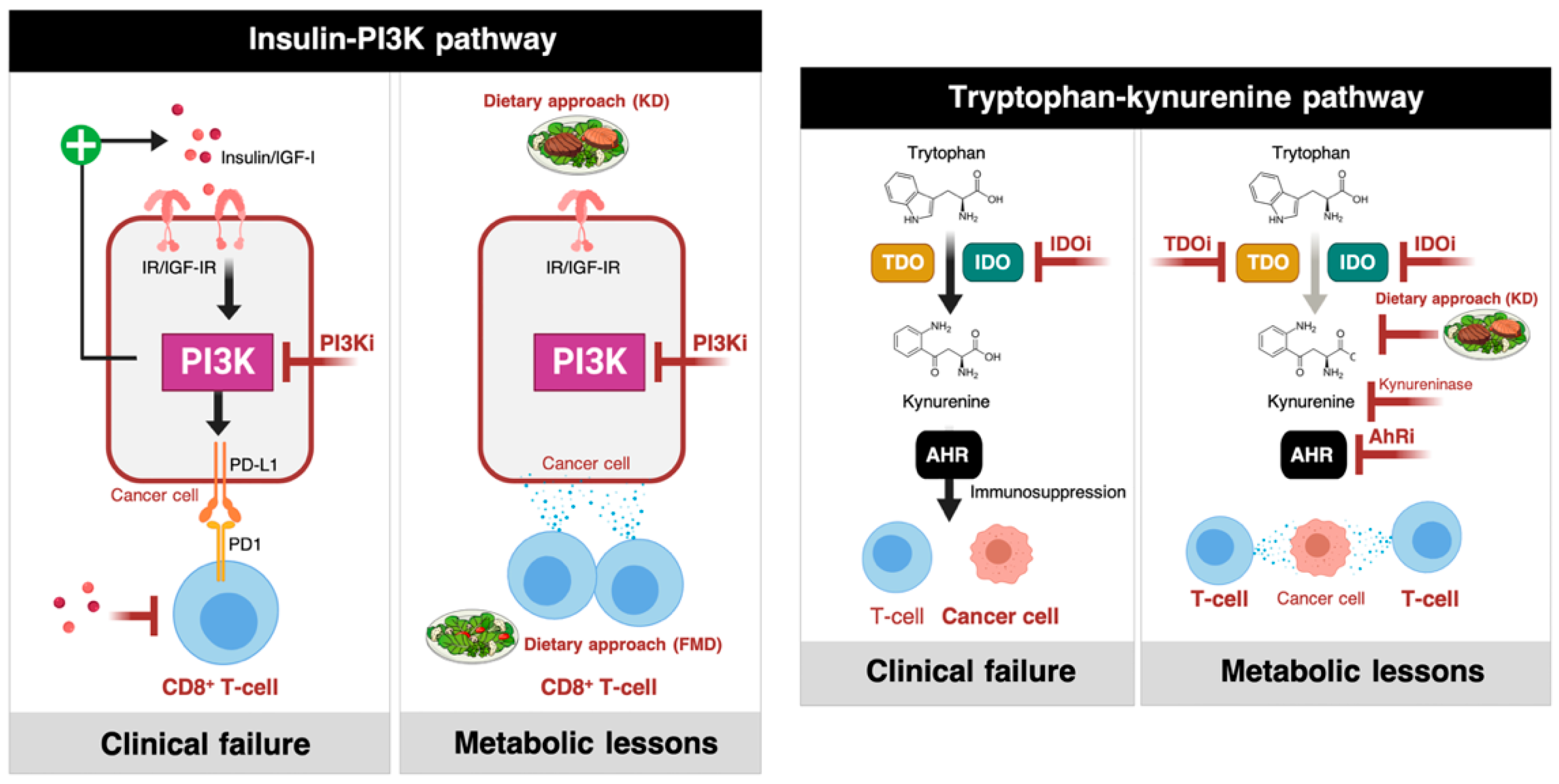 Cancers 12 01757 g002