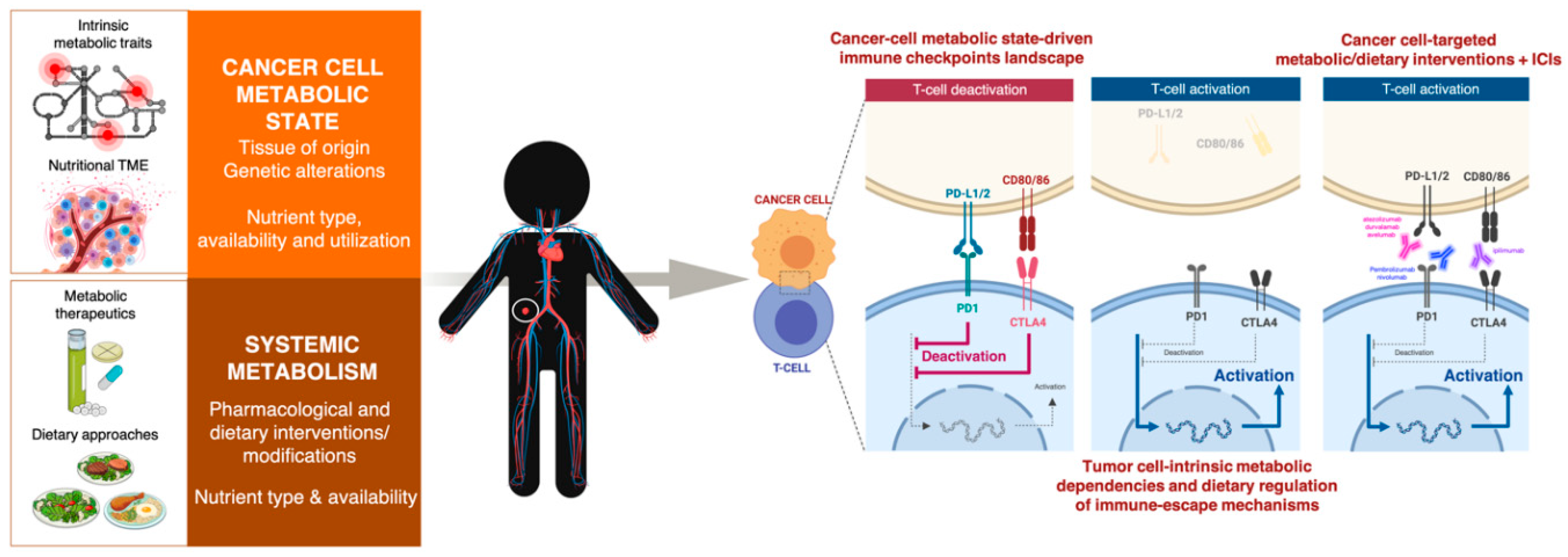 Cancers 12 01757 g005